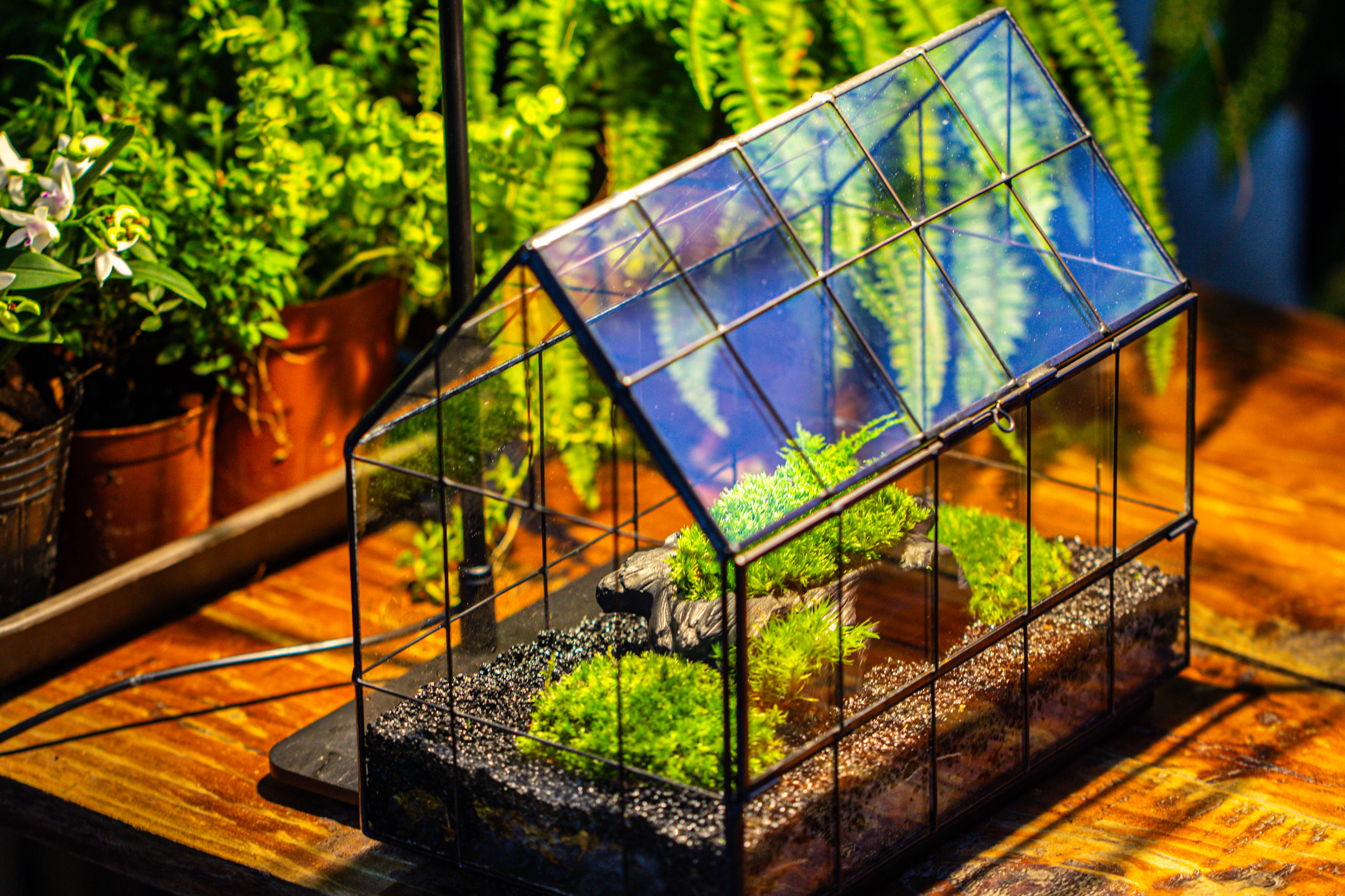 Black Theme Moss and  Black Tree Stump Vintage Greenhgouse  Tin and Glass Terrarium Kit - NCYPgarden