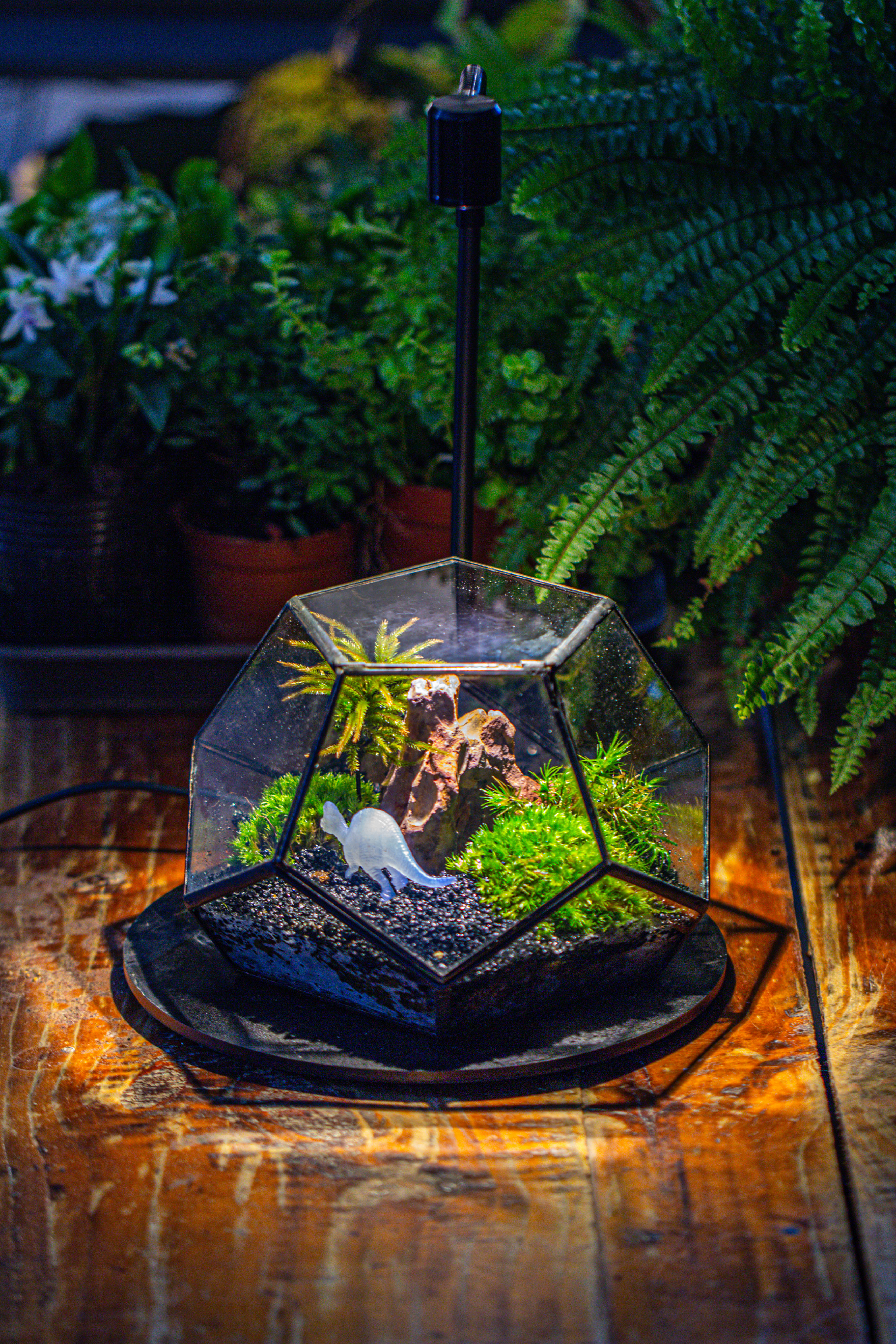 handmade geometric half ball, pentagon, close terrarium, with door for moss - NCYPgarden