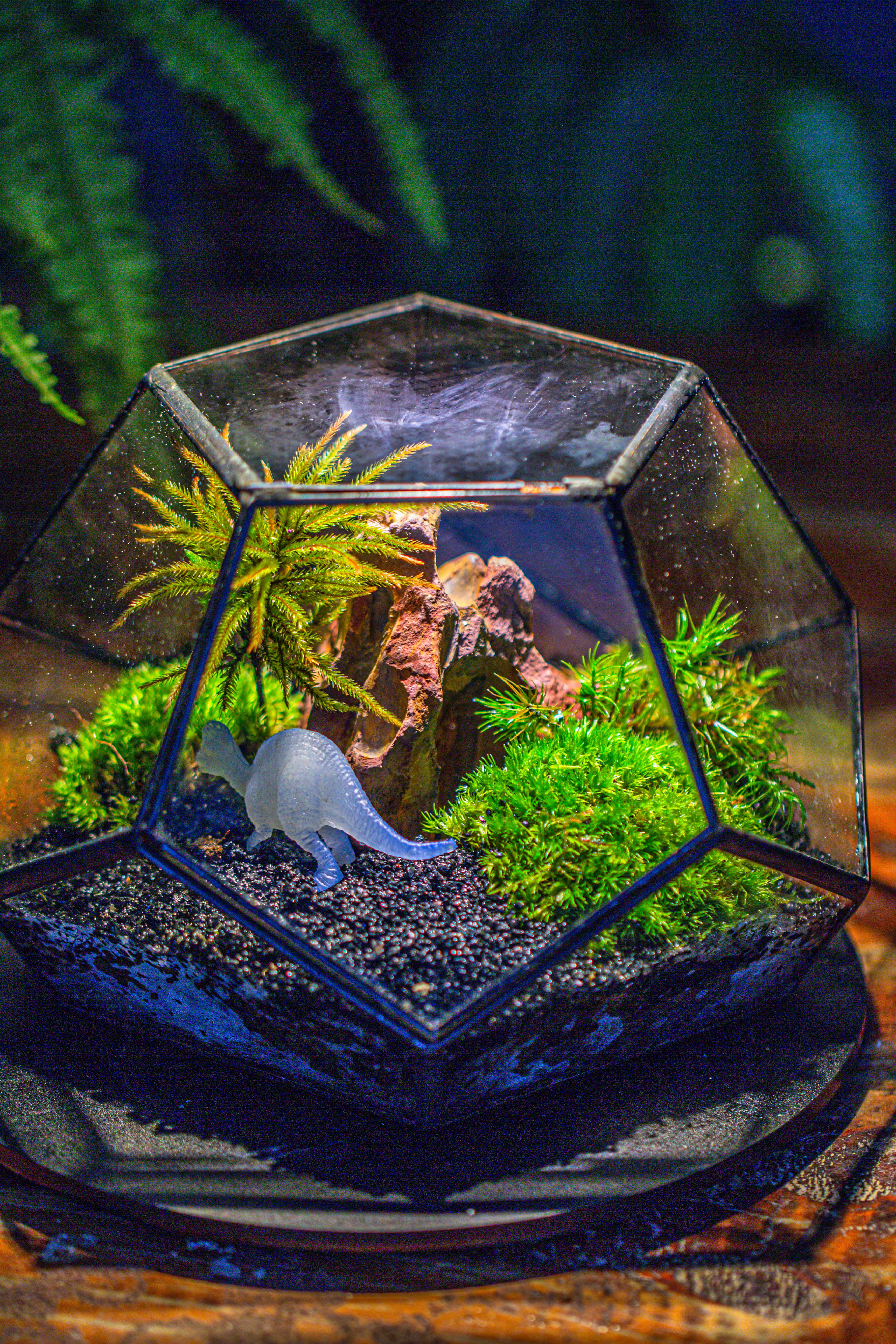 handmade geometric half ball, pentagon, close terrarium, with door for moss - NCYPgarden