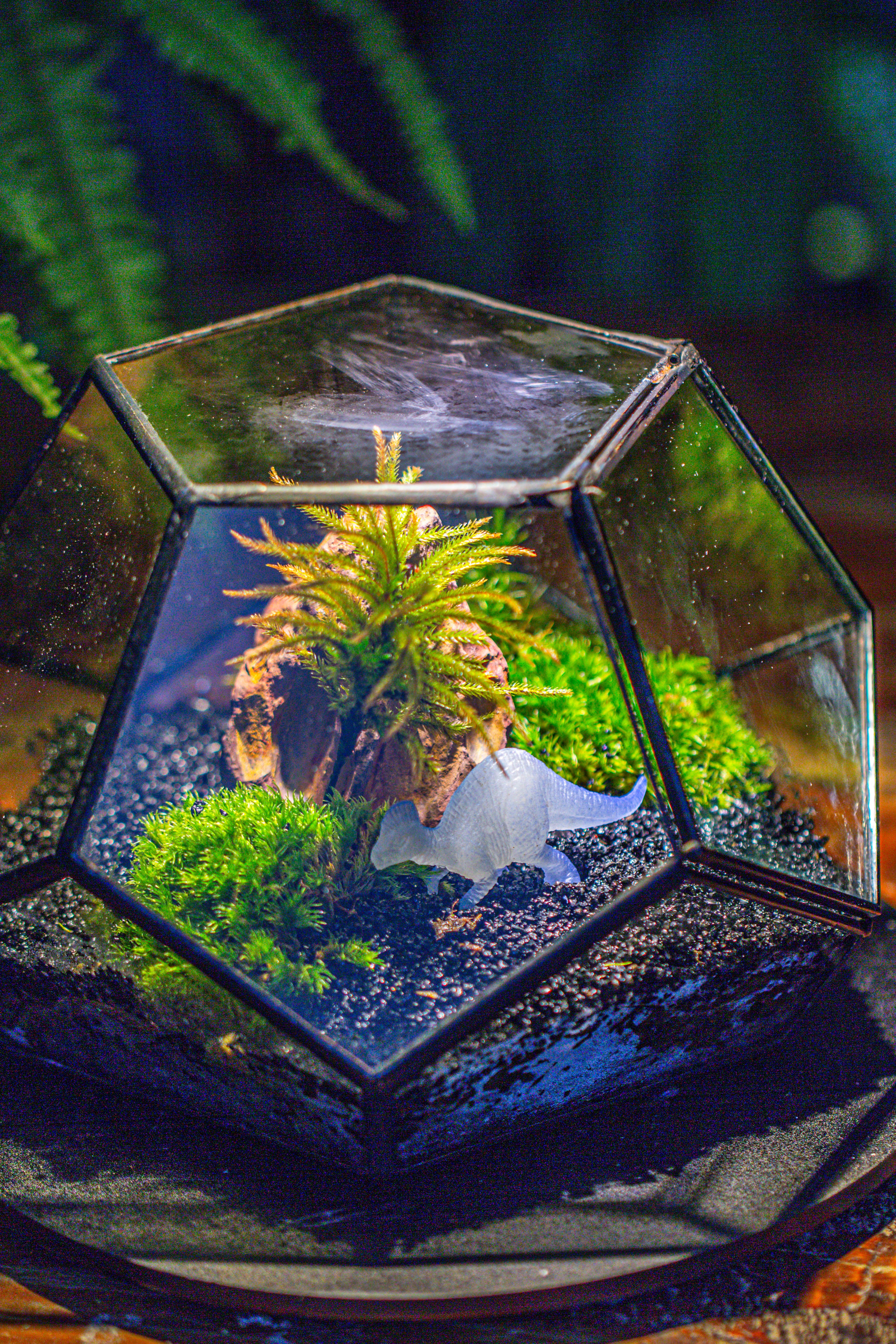 handmade geometric half ball, pentagon, close terrarium, with door for moss - NCYPgarden