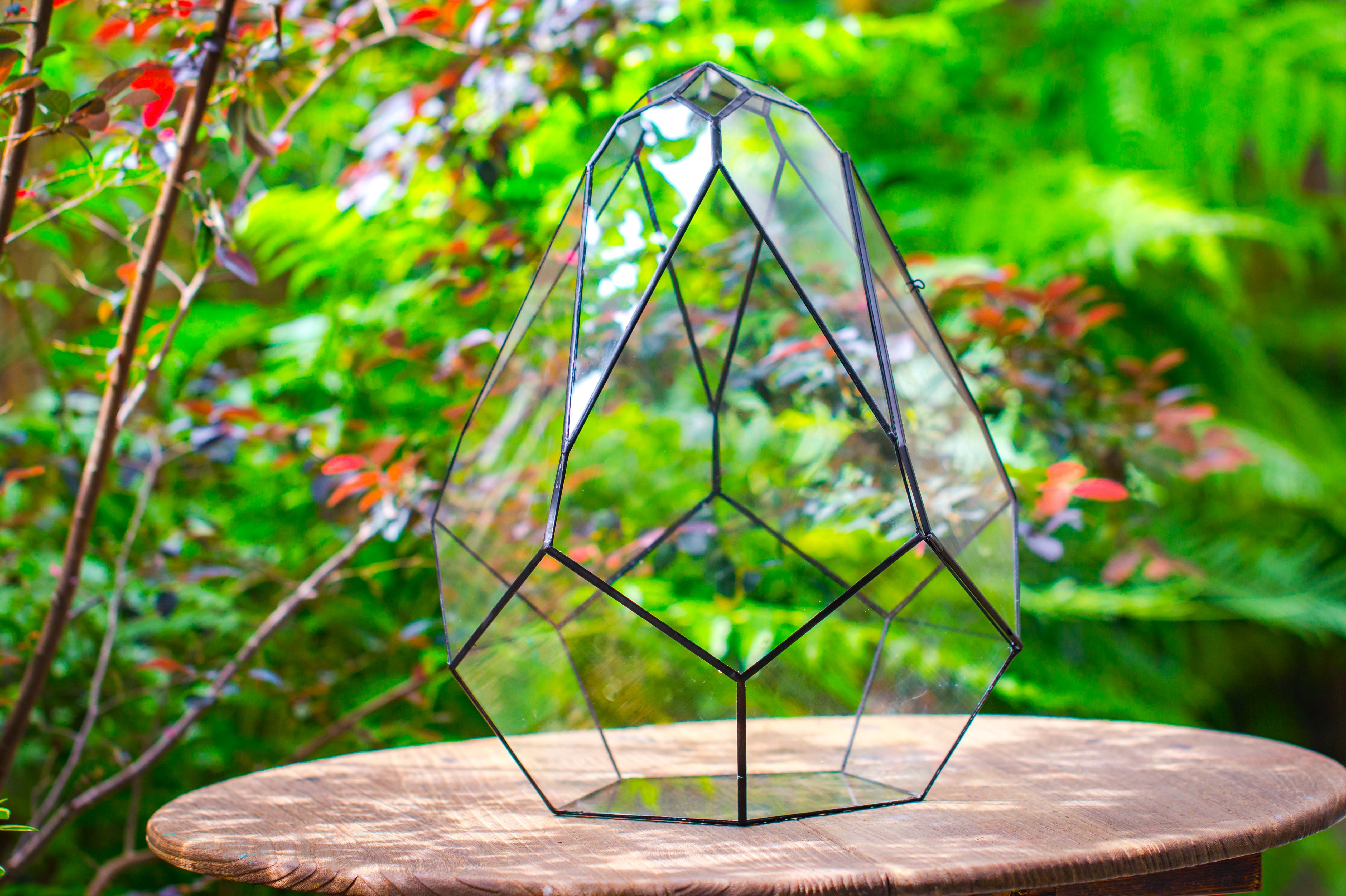 16" Large Teardrop Geometric Terrarium, close - NCYPgarden