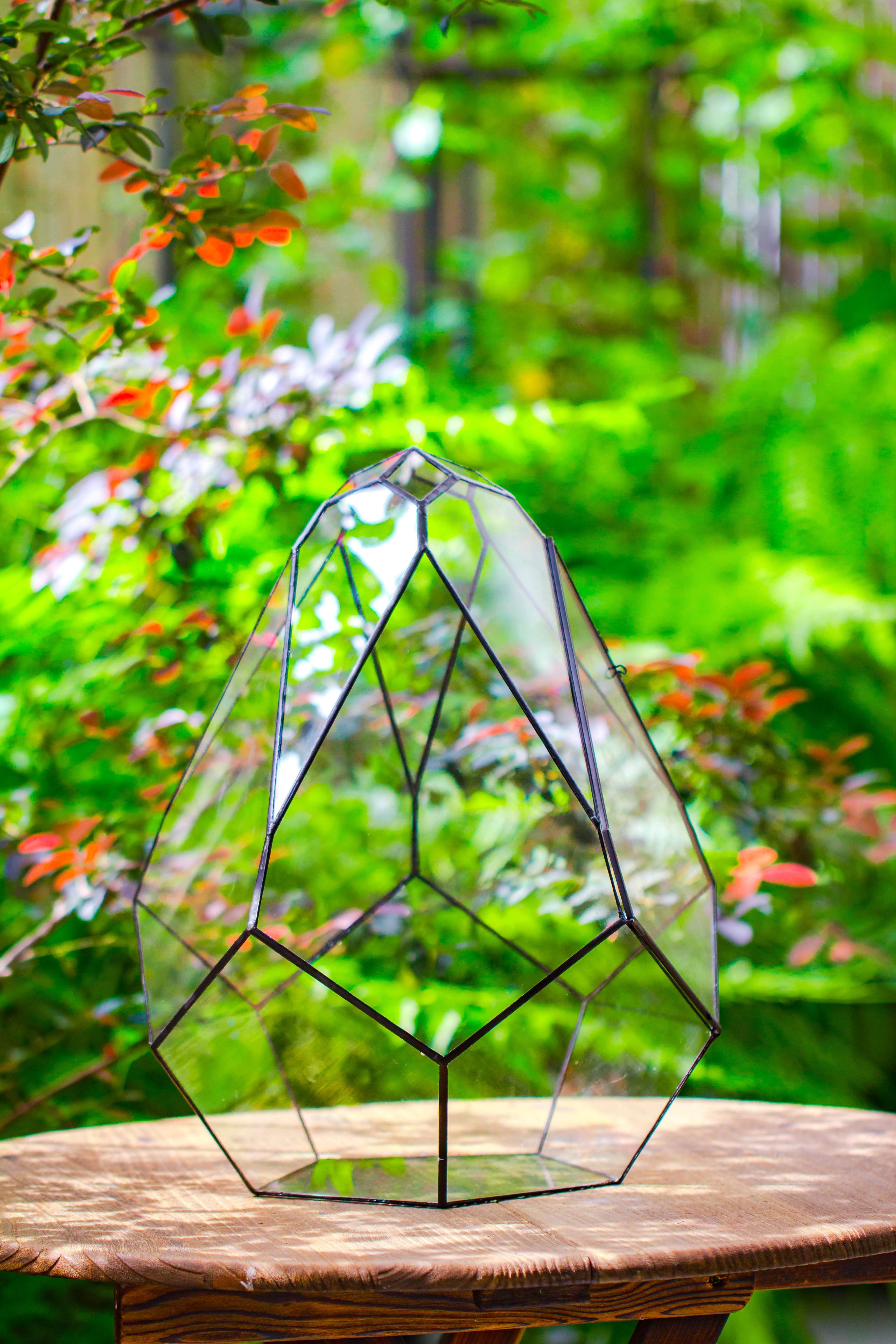 16" Large Teardrop Geometric Terrarium, close - NCYPgarden