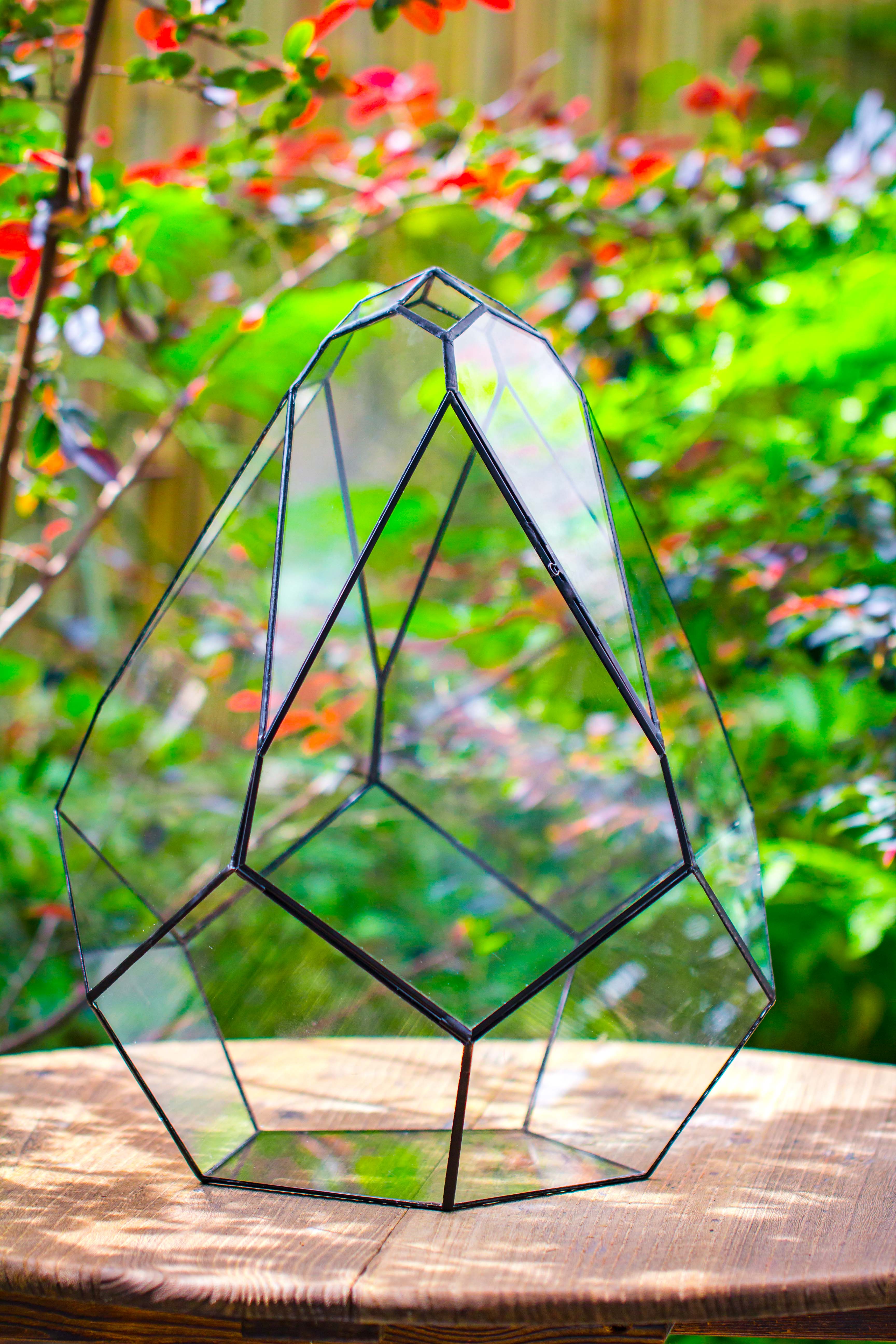 16" Large Teardrop Geometric Terrarium, close - NCYPgarden