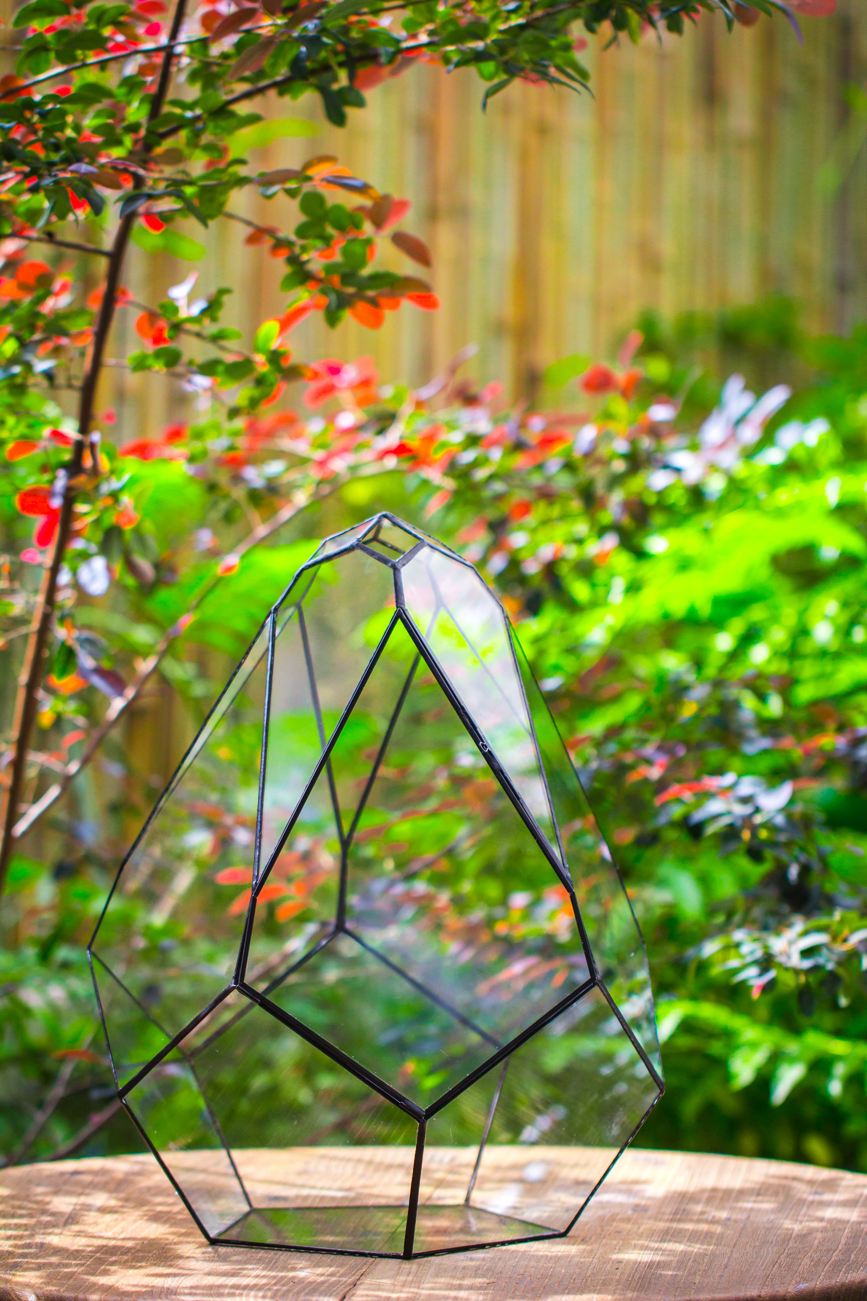 16" Large Teardrop Geometric Terrarium, close - NCYPgarden