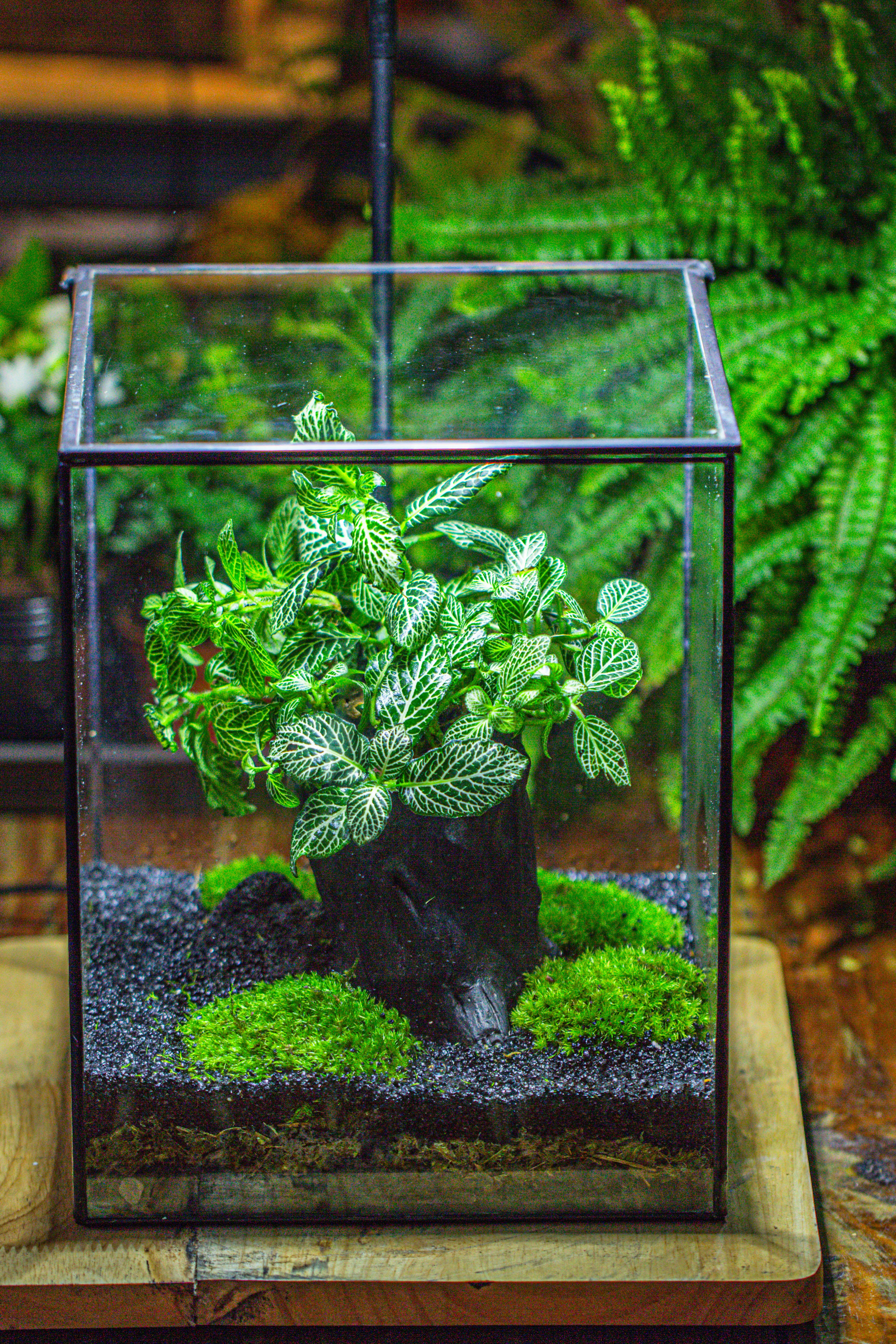 竖版大长方形 上开盖 - NCYPgarden