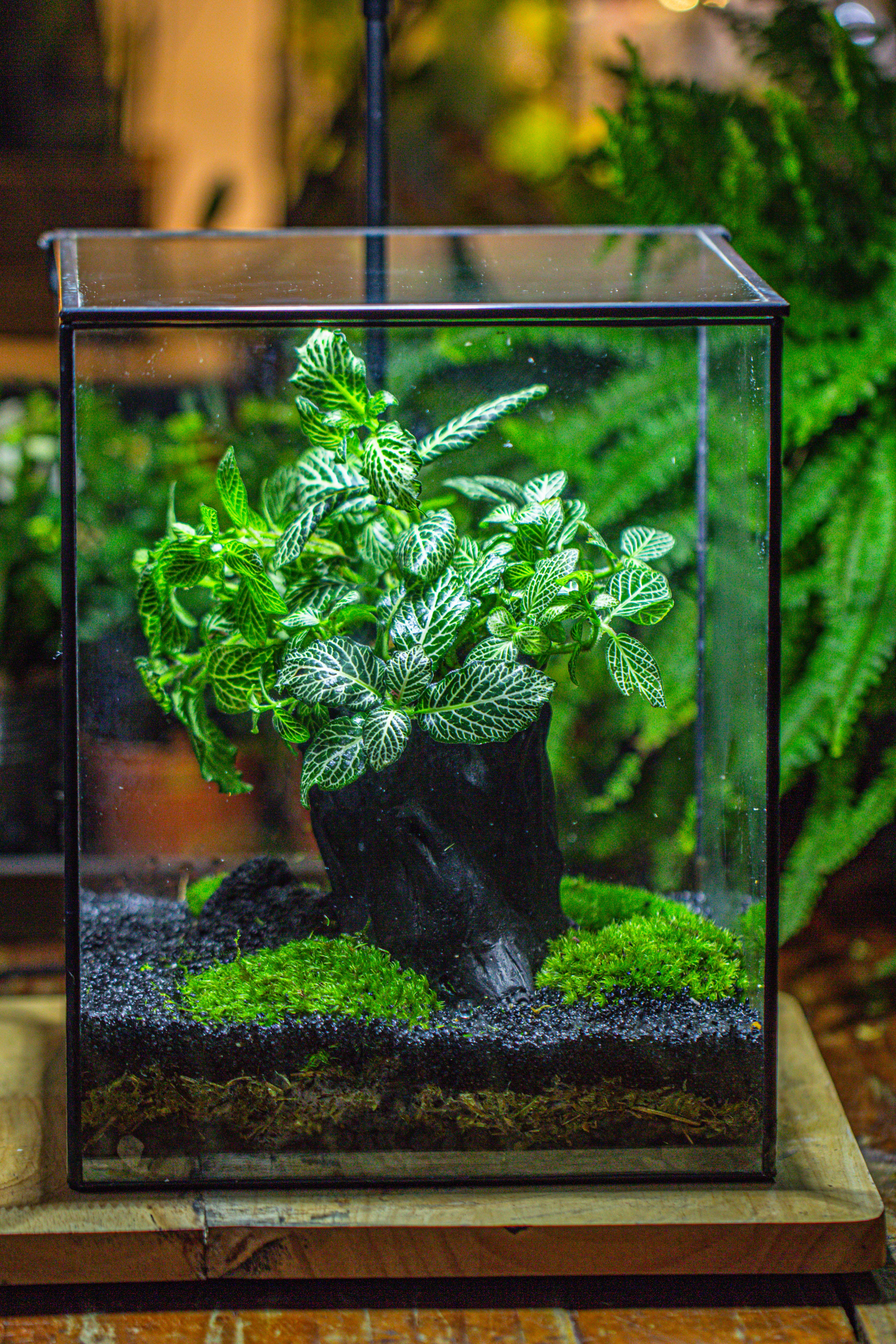 竖版大长方形 上开盖 - NCYPgarden