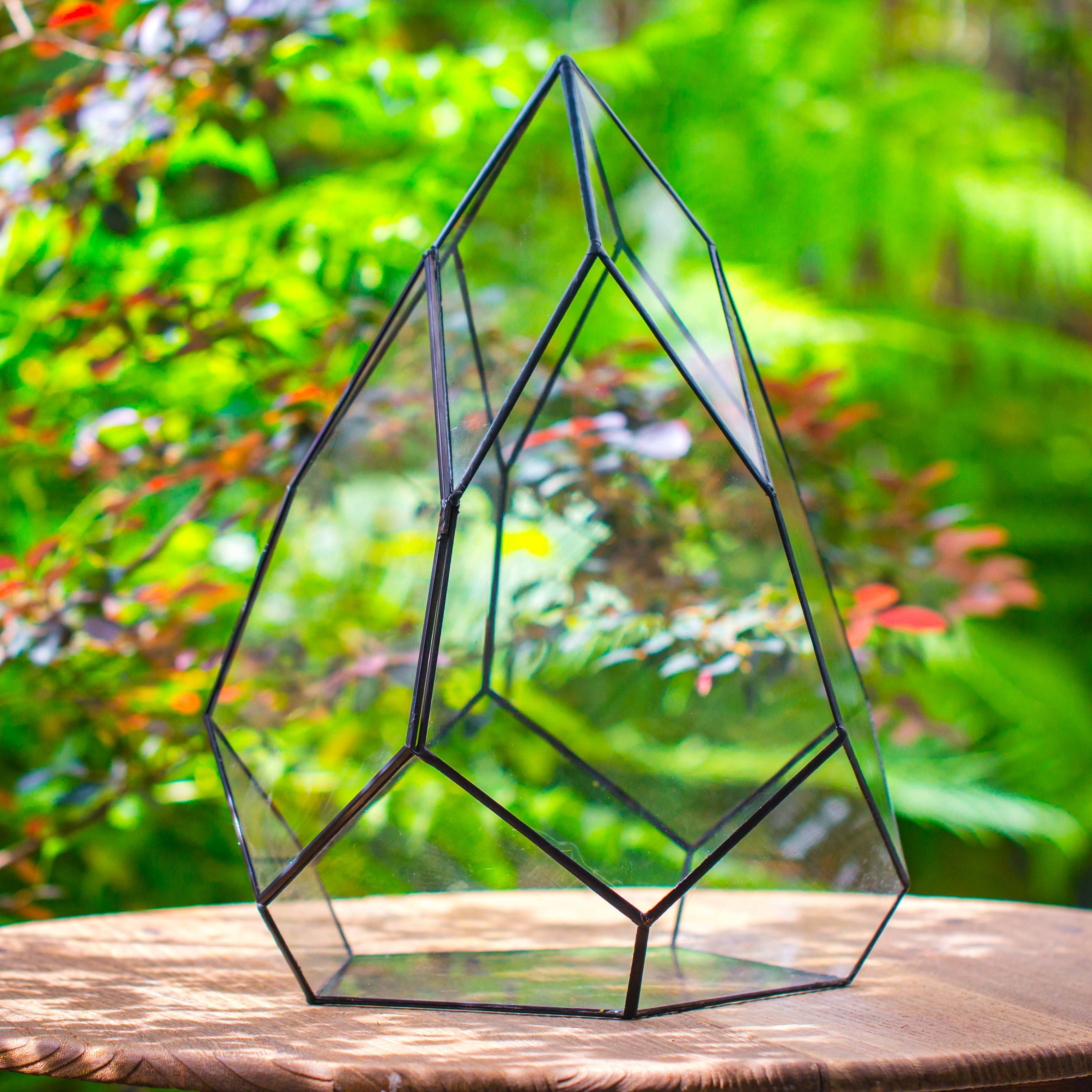Large 16" tall and wide teardrop tin and glass terrarium, close, with door - NCYPgarden