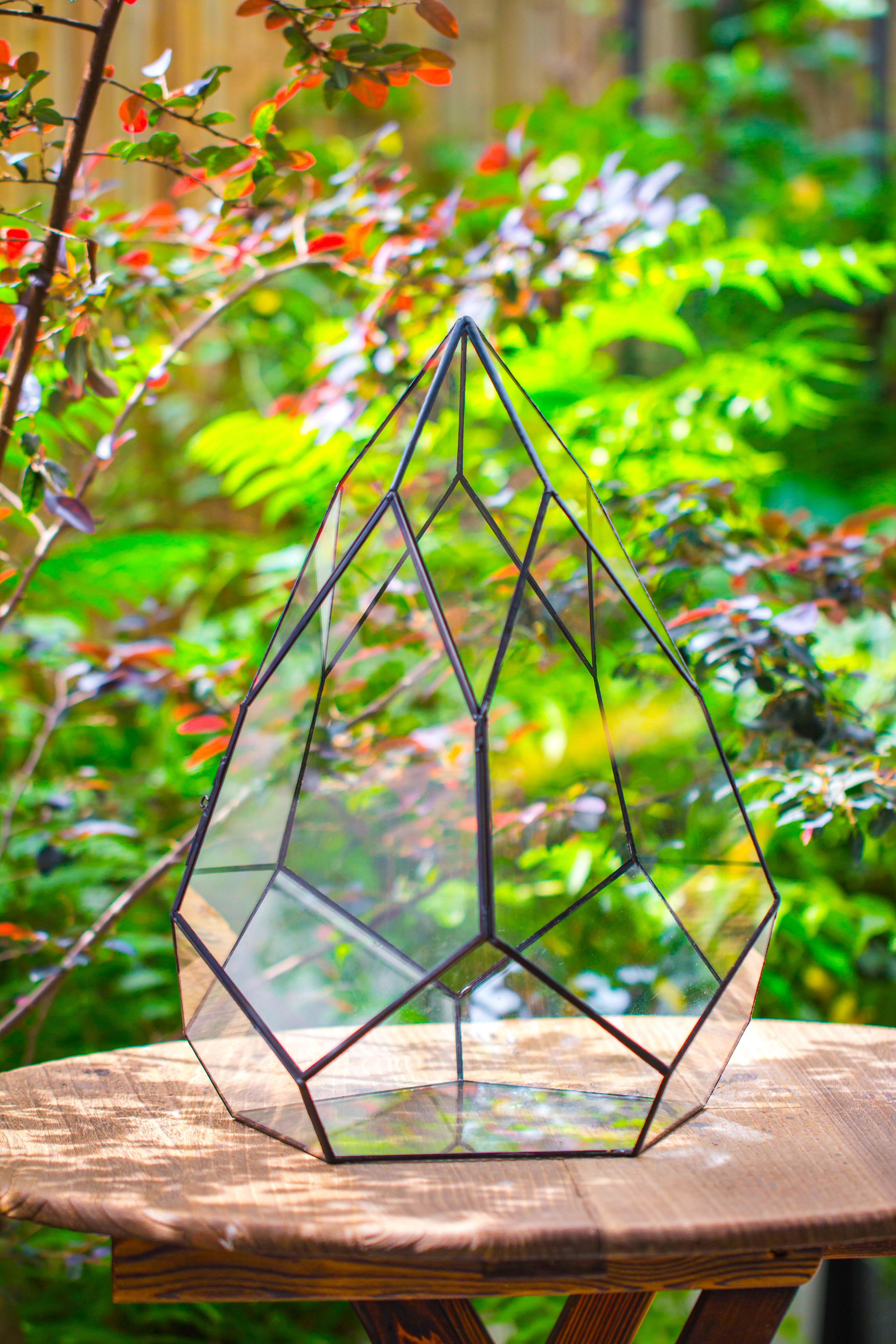 Large 16" tall and wide teardrop tin and glass terrarium, close, with door - NCYPgarden