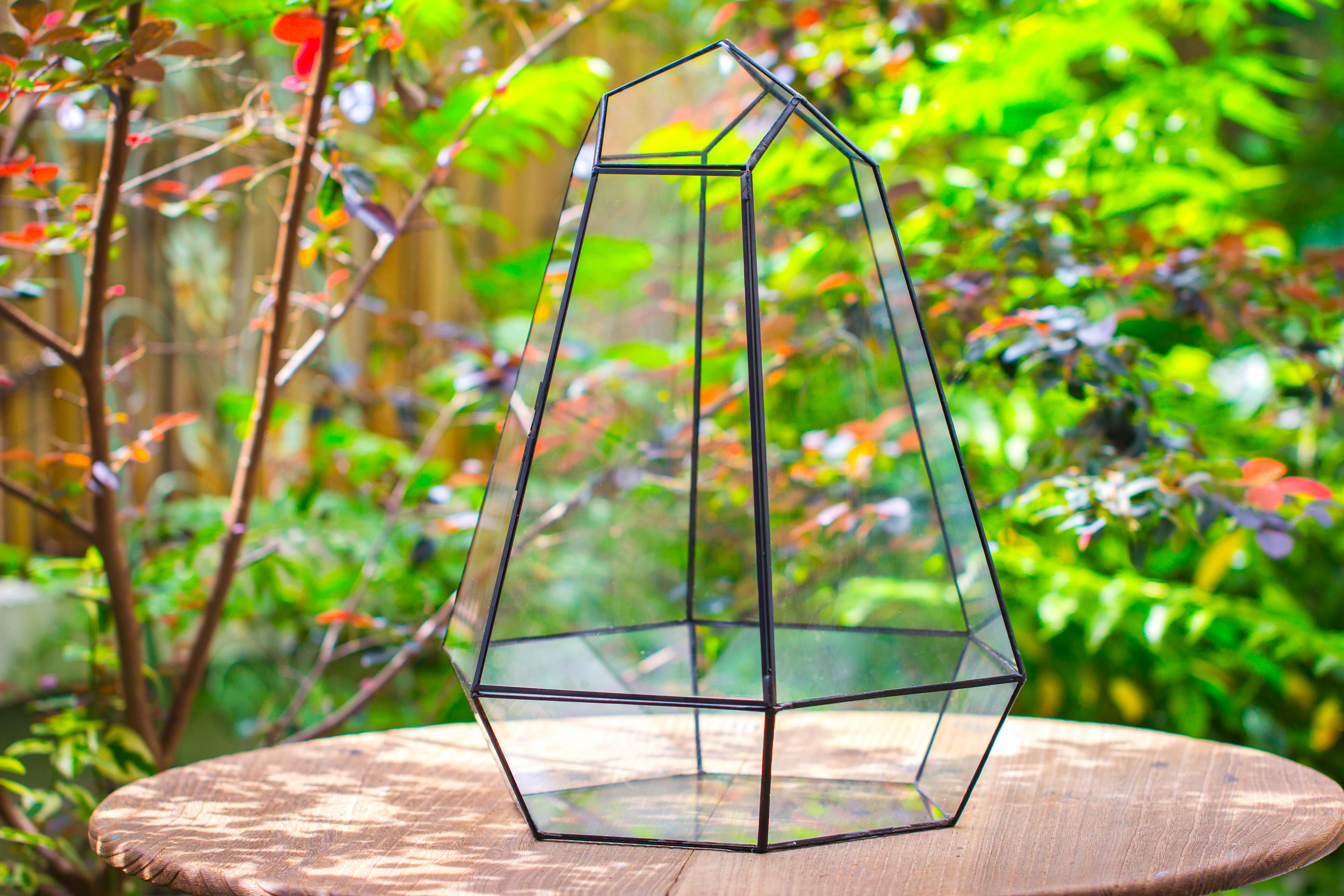 Large 16" tall and wide 6 sided cone tin and glass terrarium, close, with door - NCYPgarden