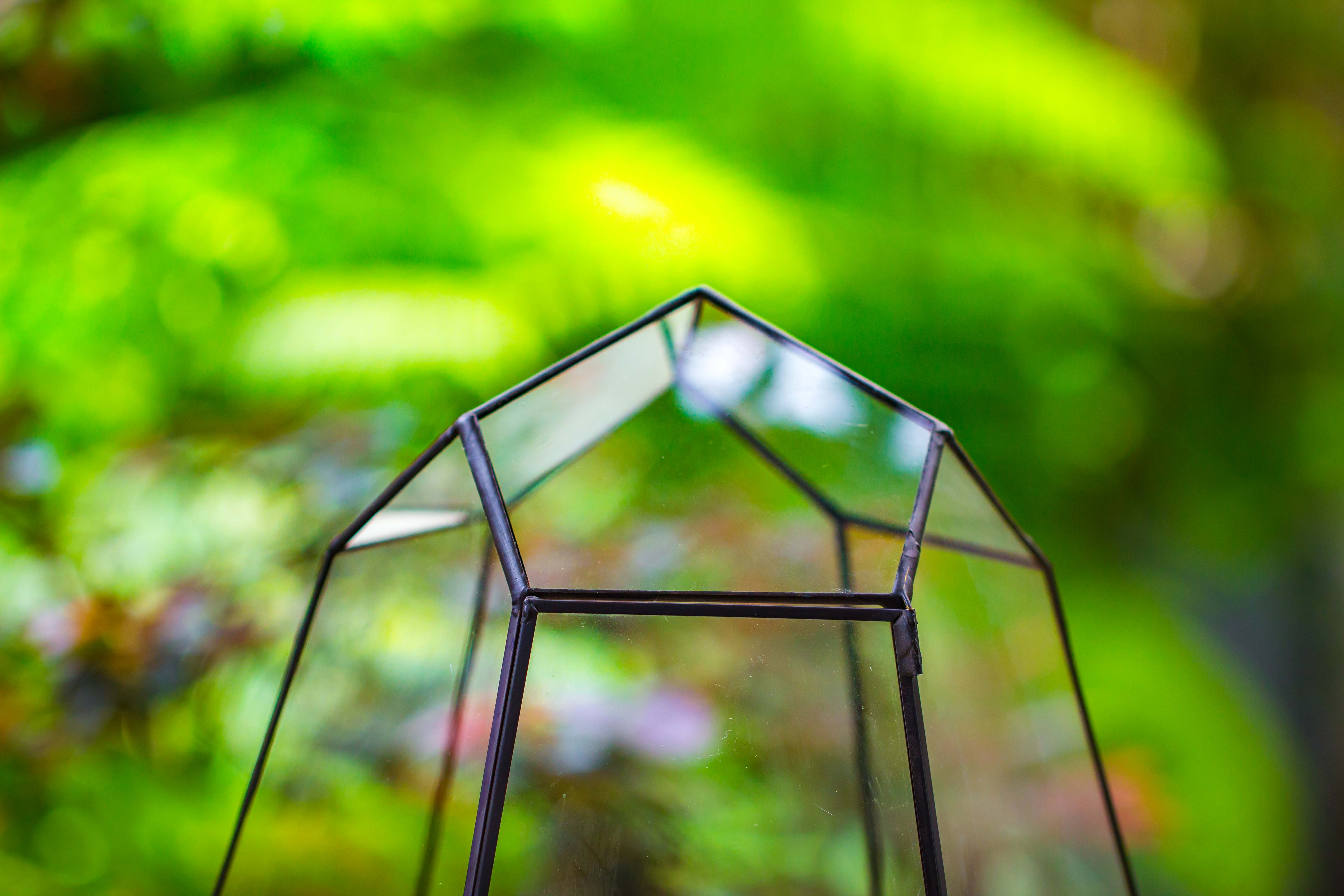 Large 16" tall and wide 6 sided cone tin and glass terrarium, close, with door - NCYPgarden