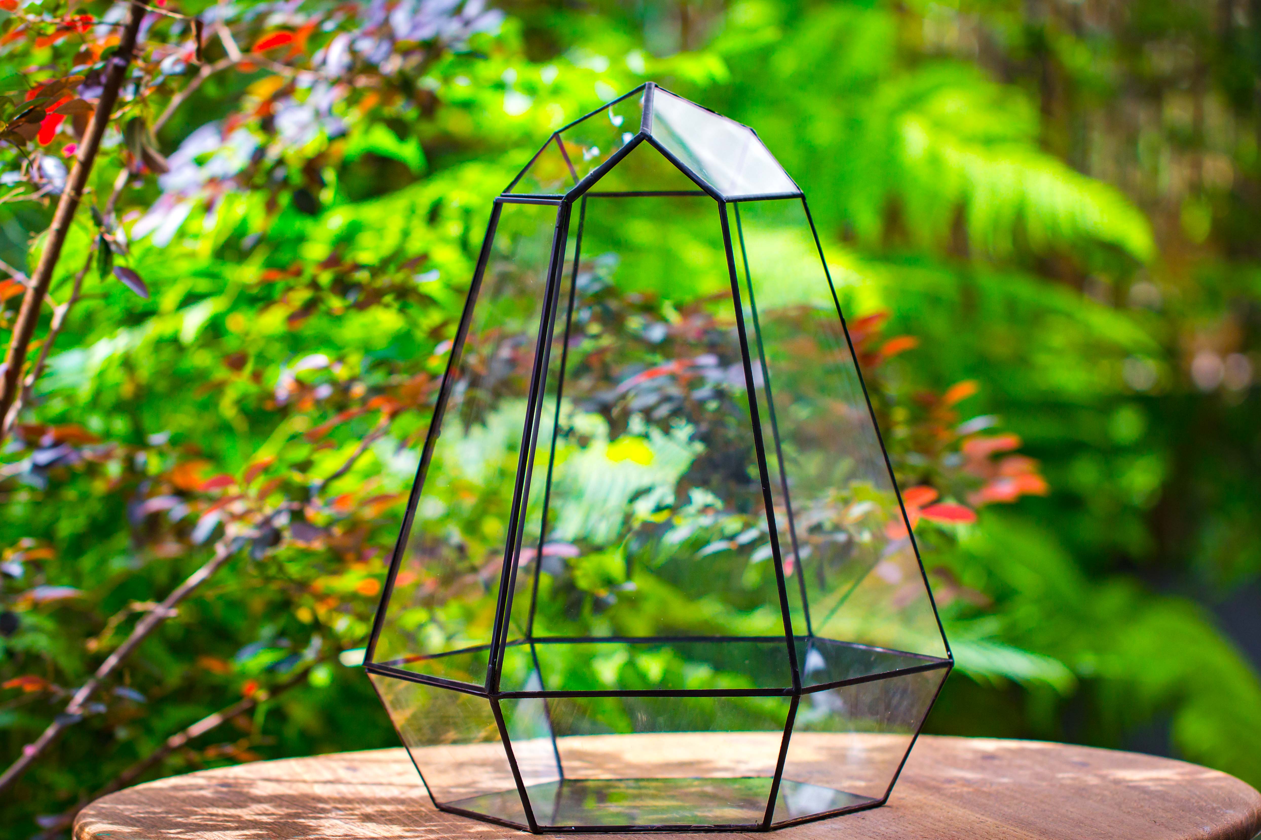 Large 16" tall and wide 6 sided cone tin and glass terrarium, close, with door - NCYPgarden