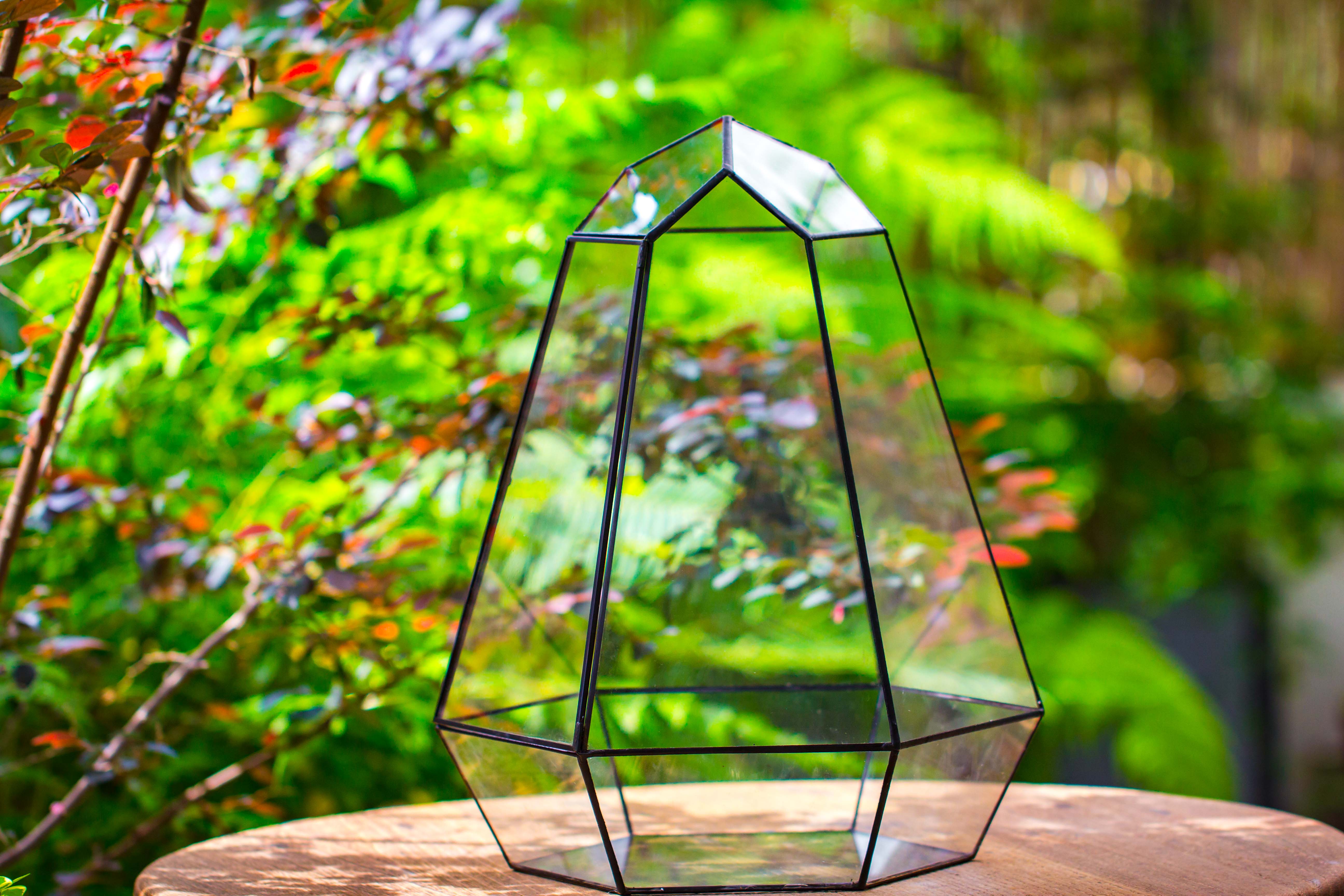 Large 16" tall and wide 6 sided cone tin and glass terrarium, close, with door - NCYPgarden
