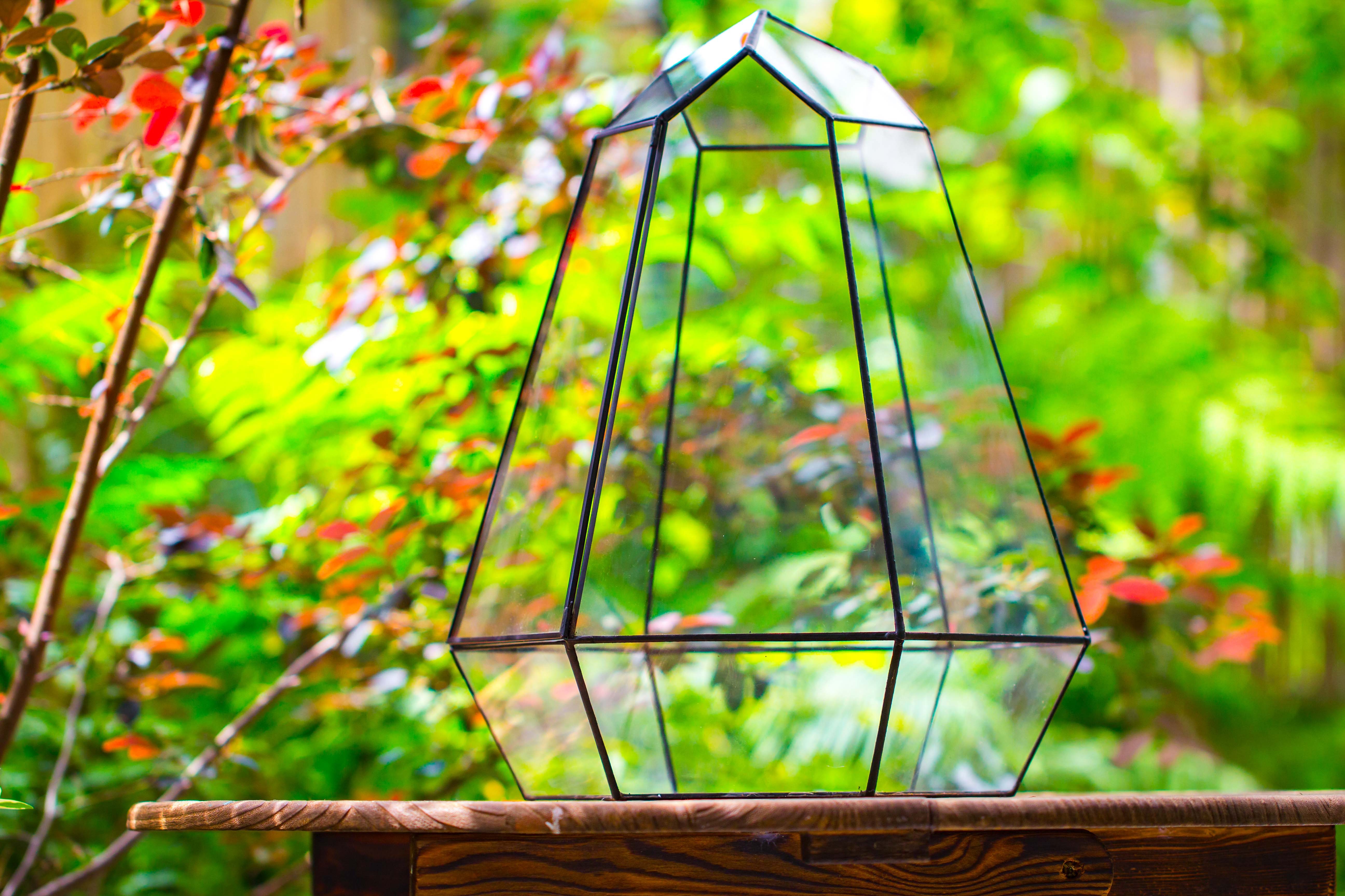 Large 16" tall and wide 6 sided cone tin and glass terrarium, close, with door - NCYPgarden