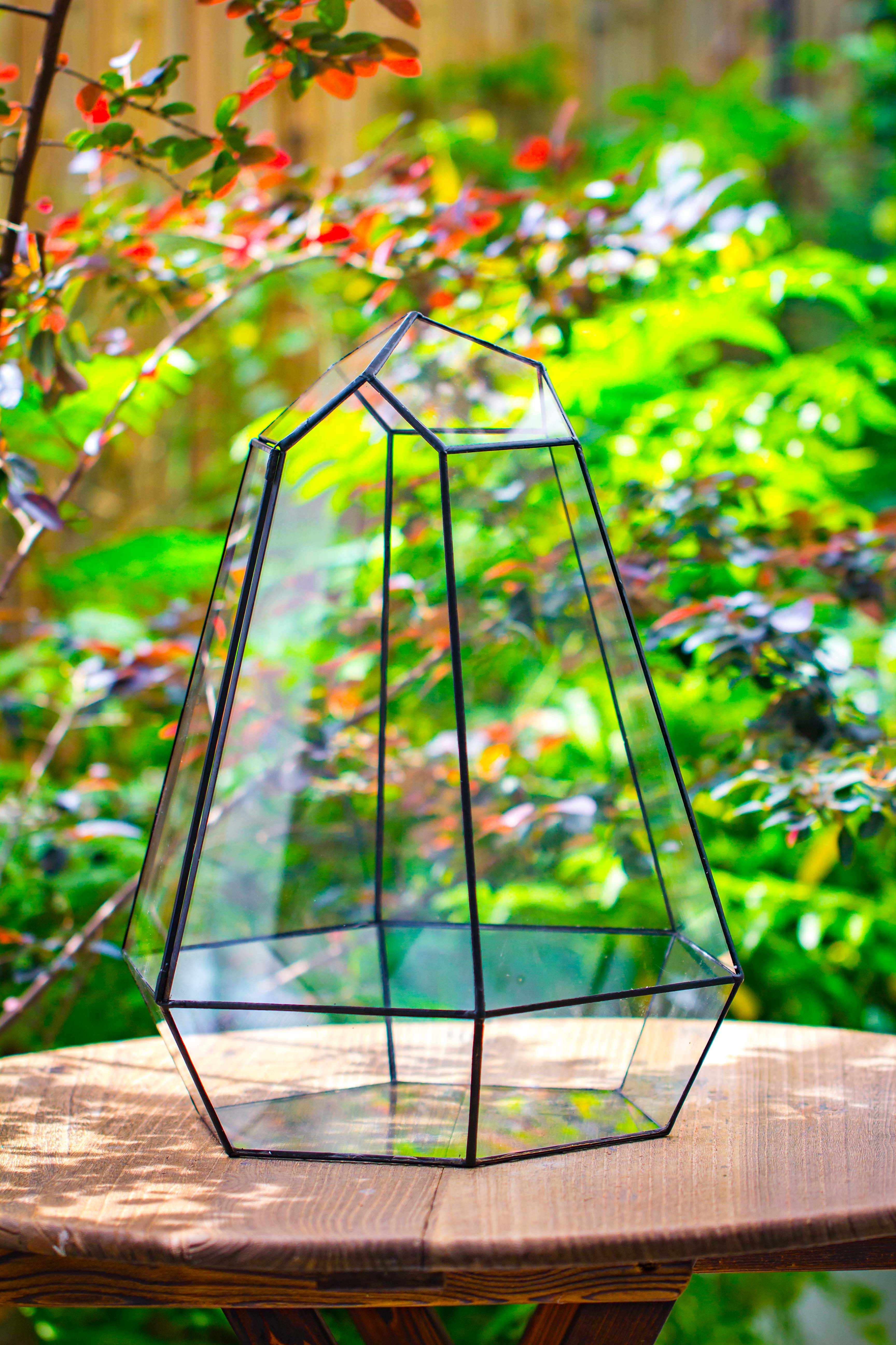 Large 16" tall and wide 6 sided cone tin and glass terrarium, close, with door - NCYPgarden