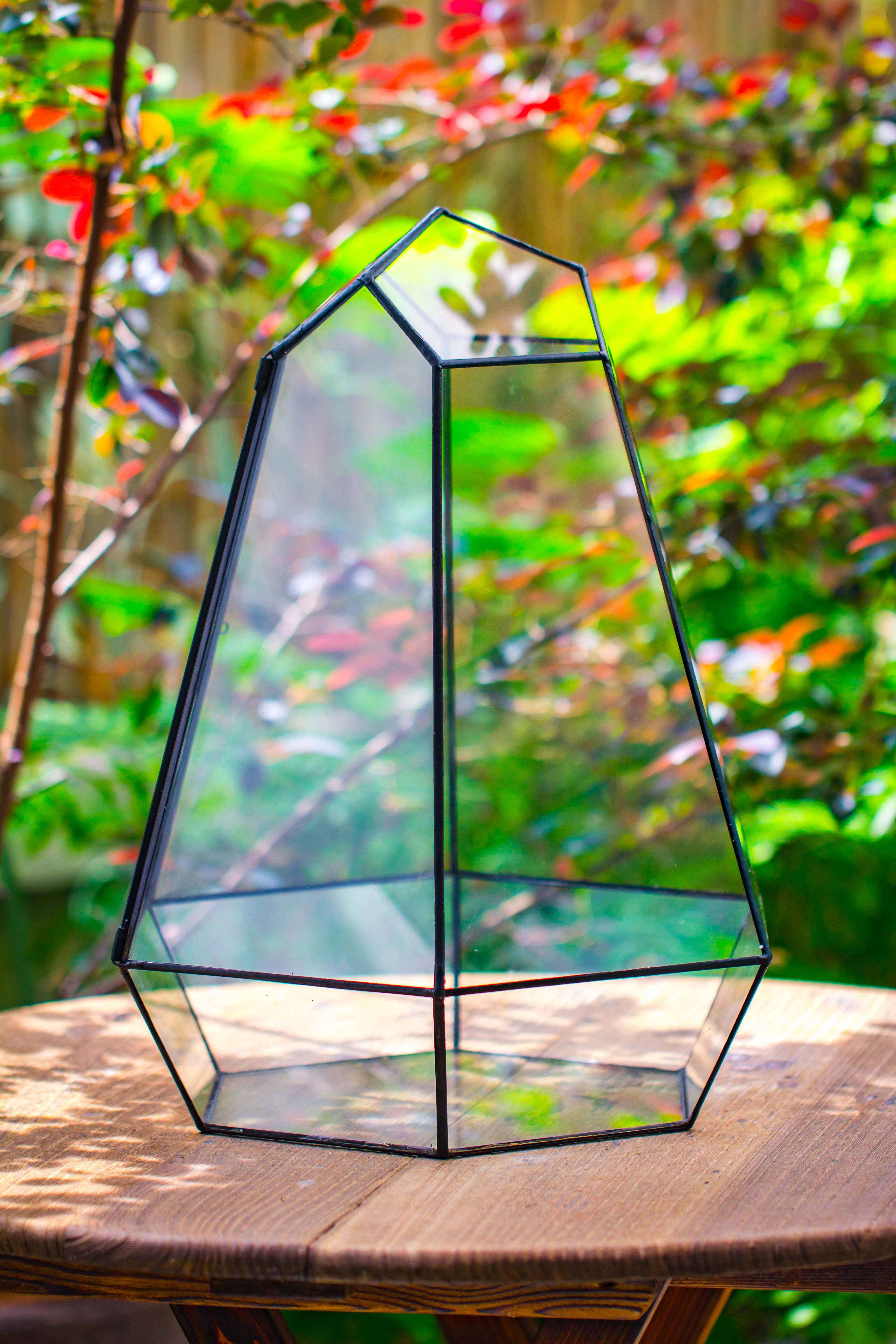 Large 16" tall and wide 6 sided cone tin and glass terrarium, close, with door - NCYPgarden
