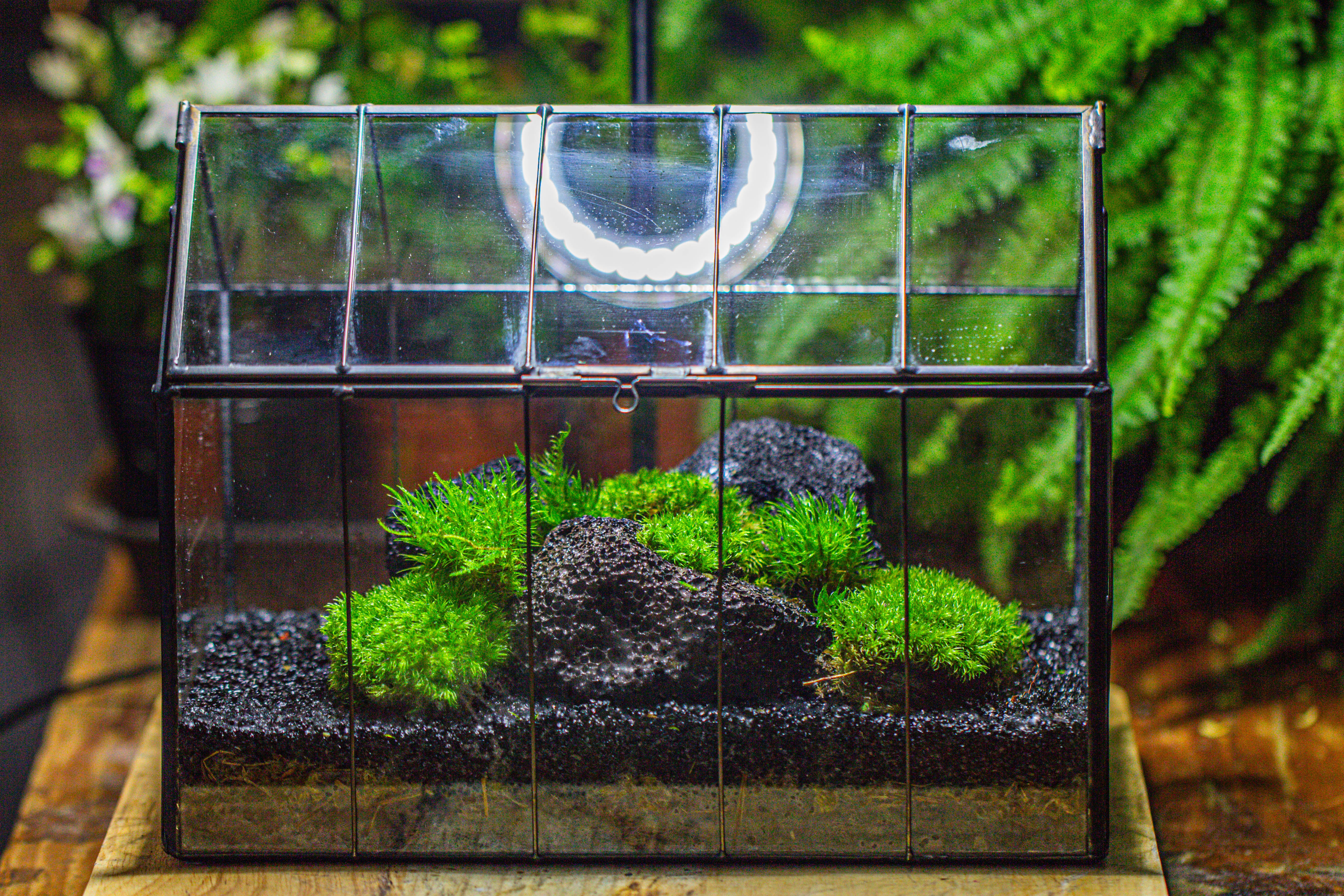 房子上开门 谷仓 黑火山岩 - NCYPgarden