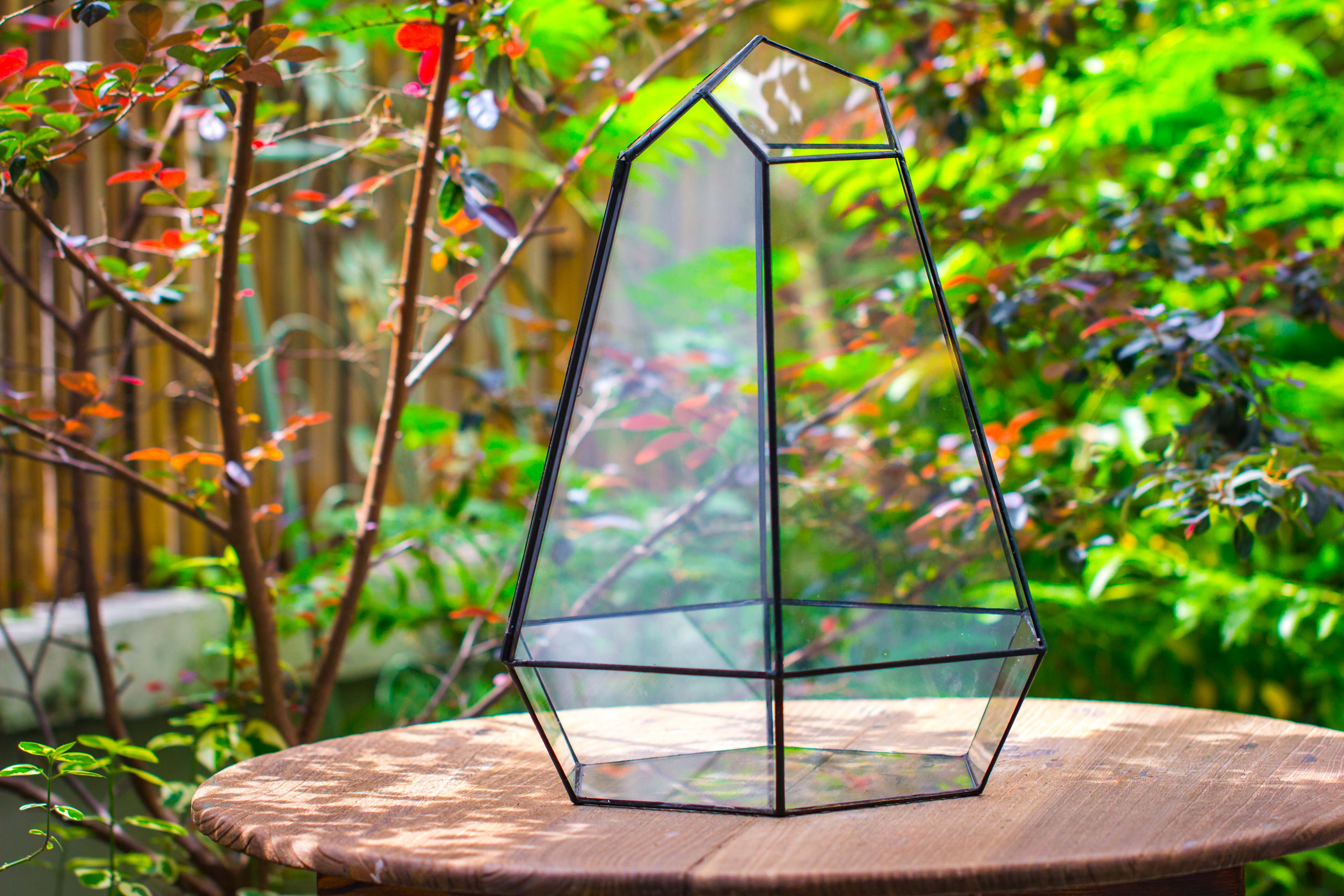 Large 16" tall and wide 6 sided cone tin and glass terrarium, close, with door - NCYPgarden