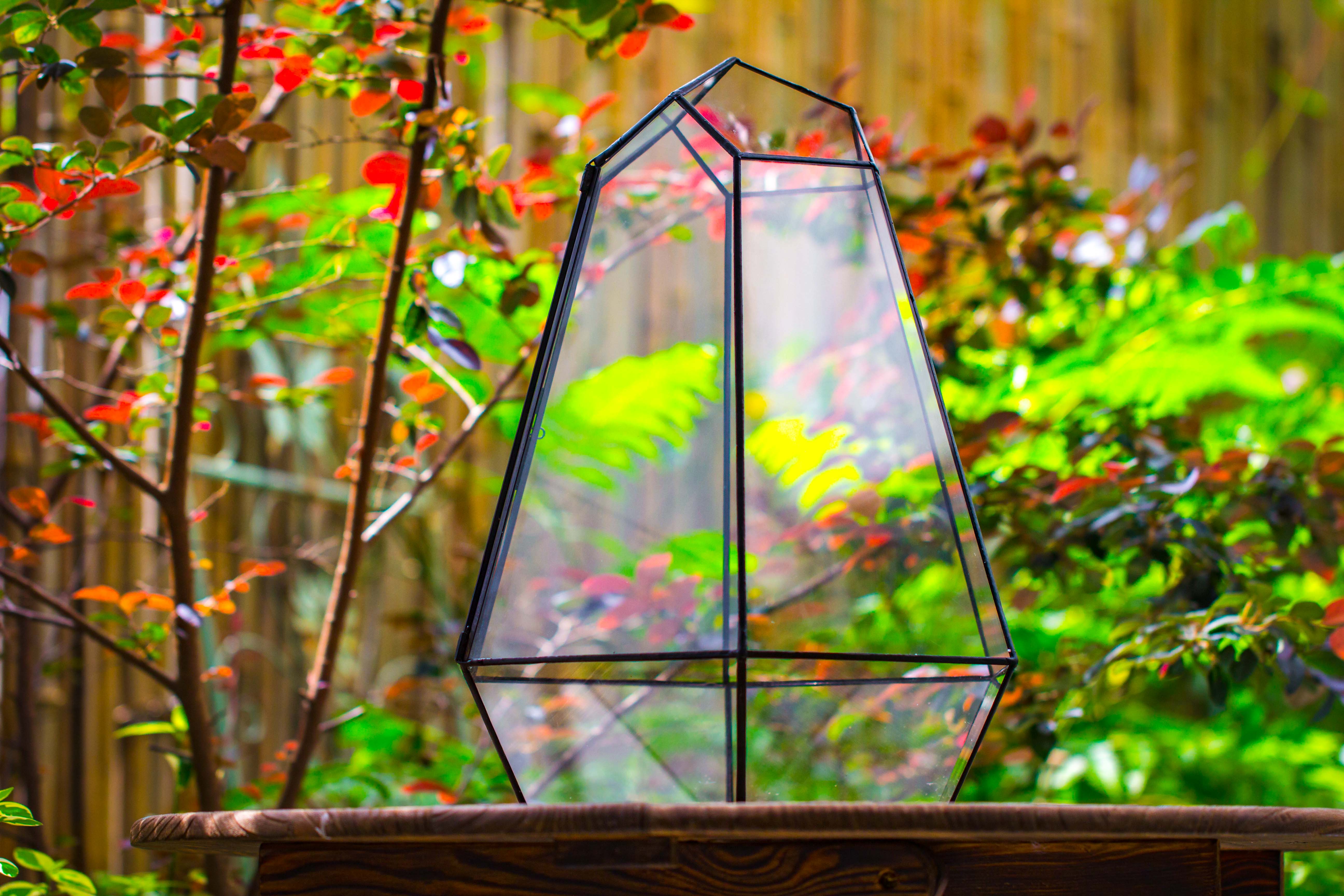 Large 16" tall and wide 6 sided cone tin and glass terrarium, close, with door - NCYPgarden