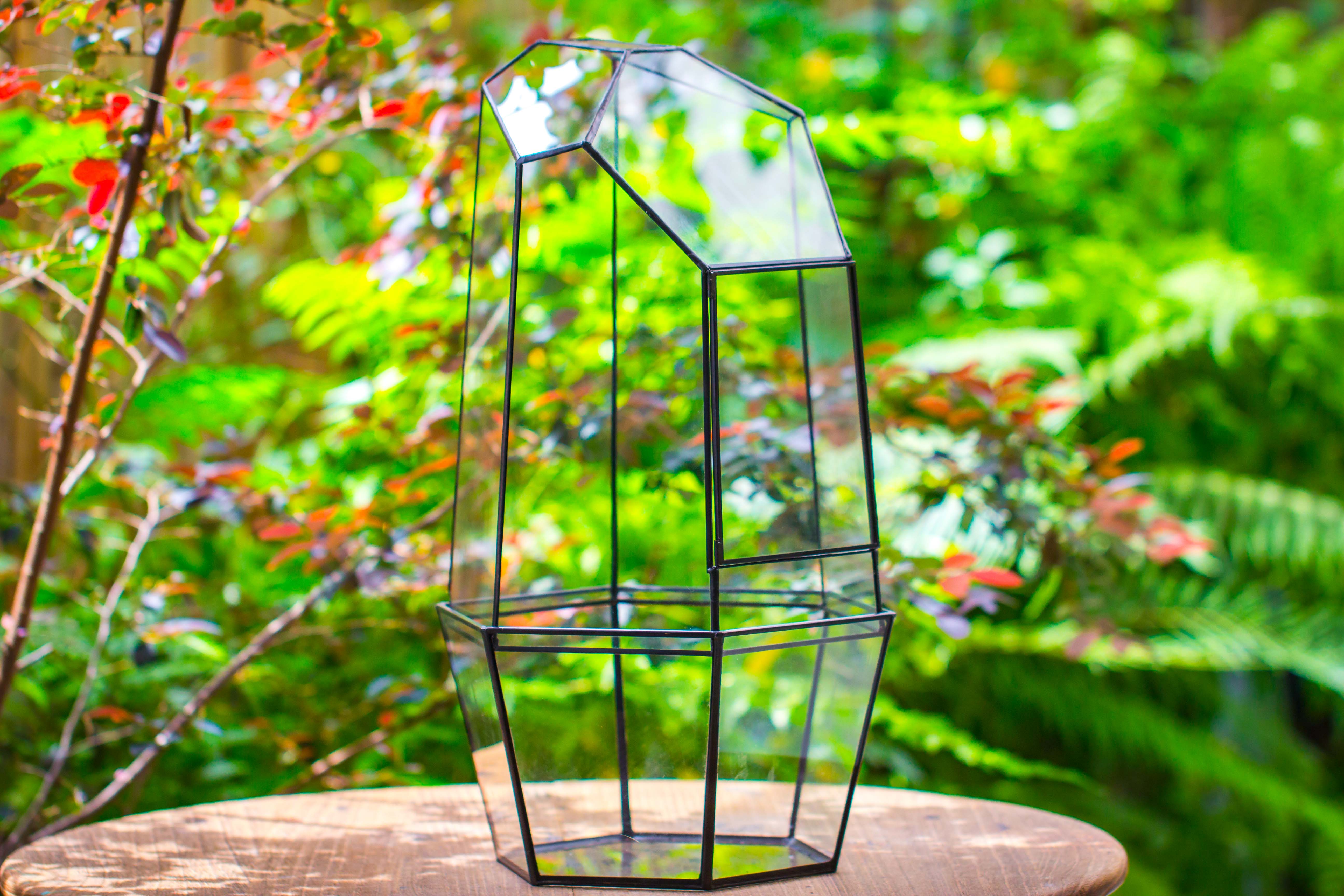 Large 2-Part 18.9" tall Close Glass Terrarium for orchid, fern, moss, Watertight - NCYPgarden