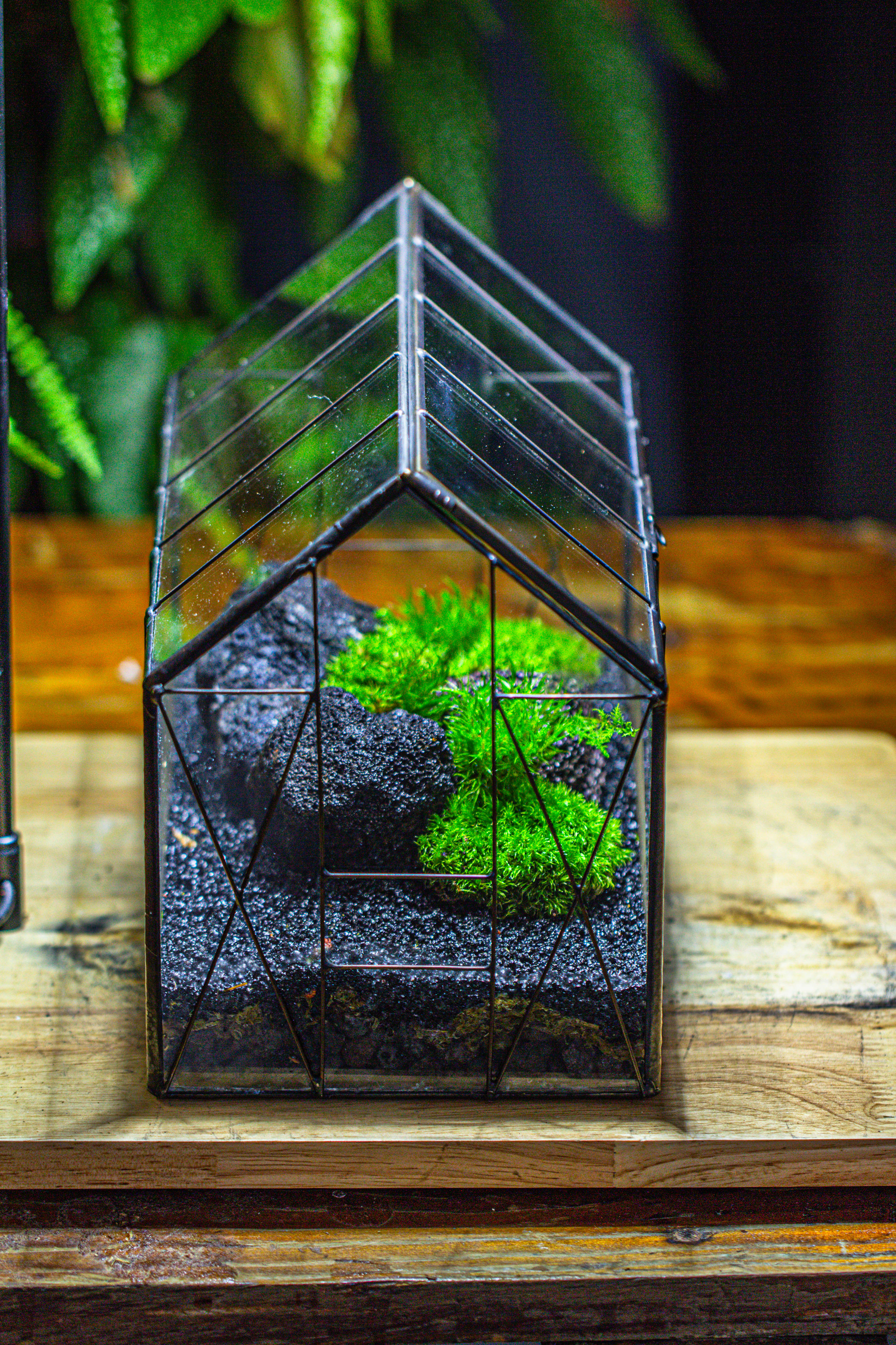Handmade Vintage Greenhouse Inspired Tin Terrarium with LED Grow Light Set, Closed Glass Planter Set - NCYPgarden