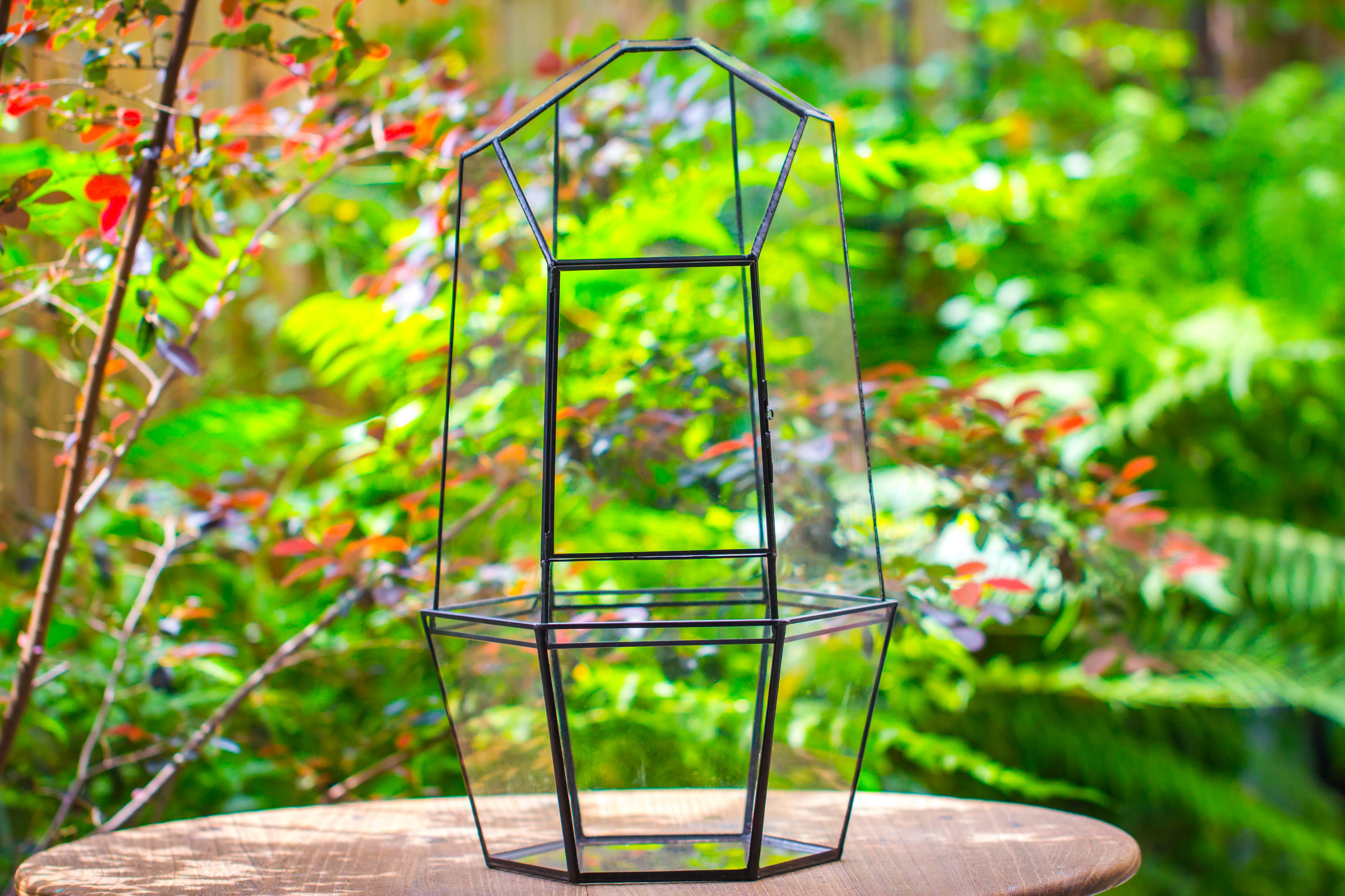 Large 2-Part 18.9" tall Close Glass Terrarium for orchid, fern, moss, Watertight - NCYPgarden