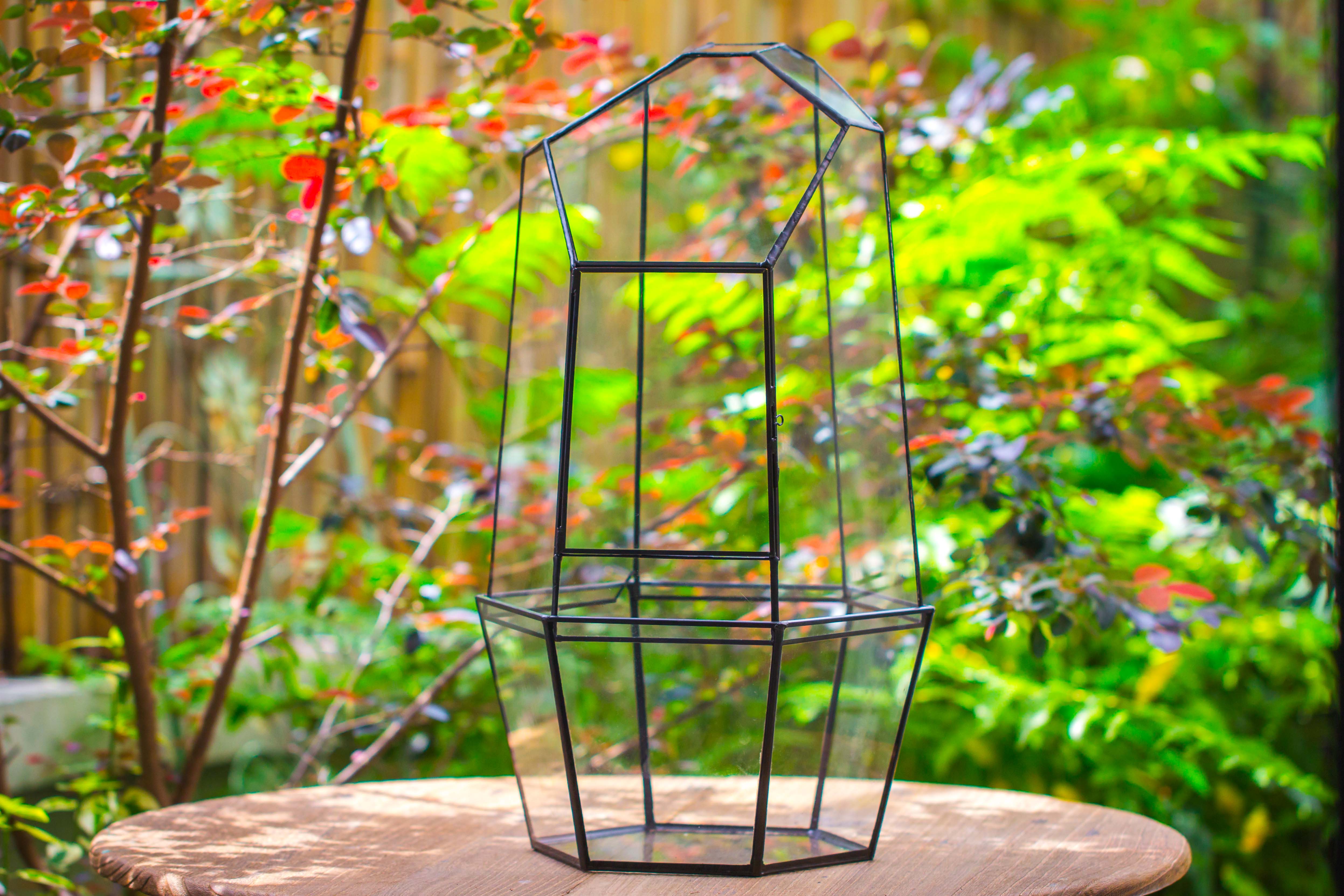 Large 2-Part 18.9" tall Close Glass Terrarium for orchid, fern, moss, Watertight - NCYPgarden