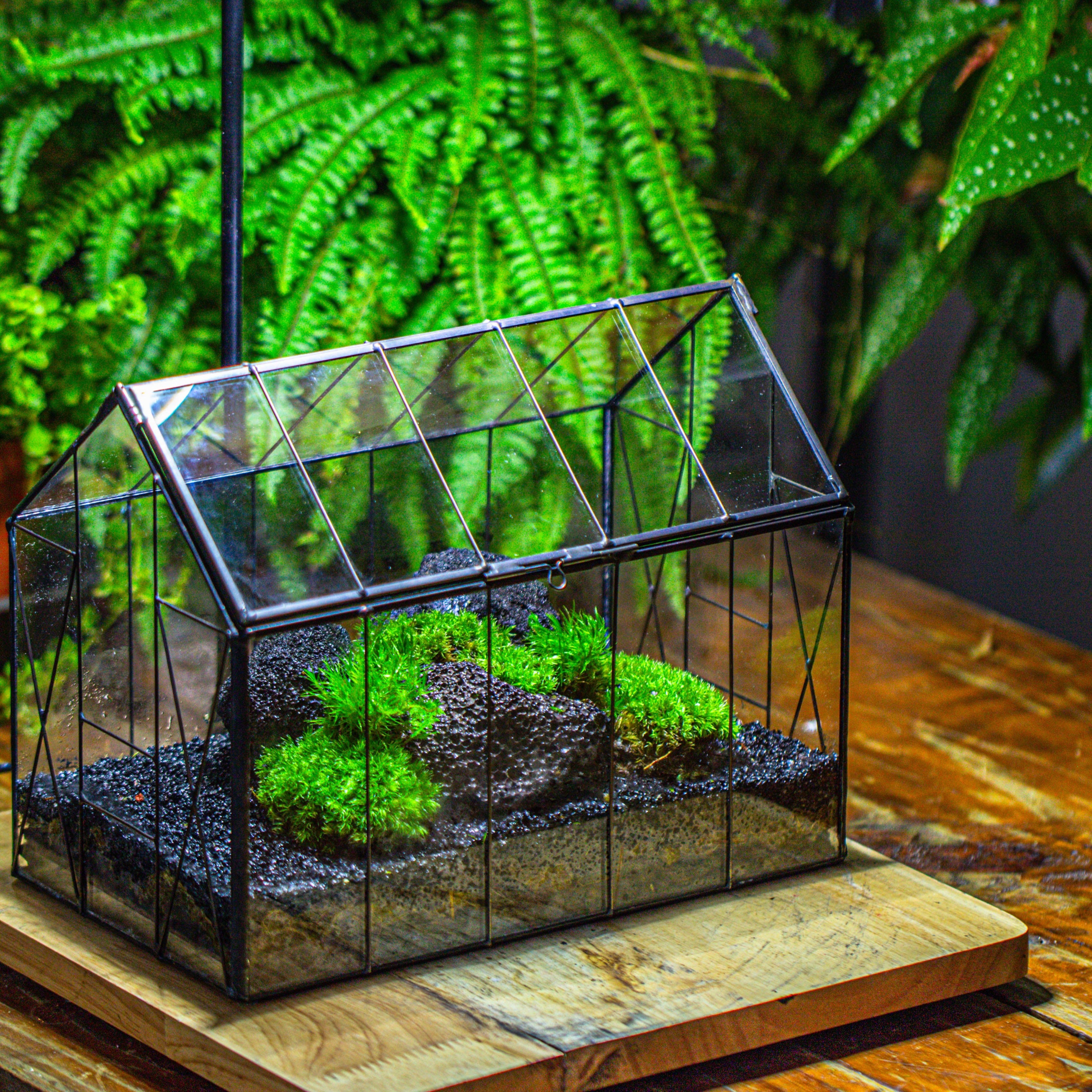 Handmade Vintage Greenhouse Inspired Tin Terrarium with LED Grow Light Set, Closed Glass Planter Set - NCYPgarden