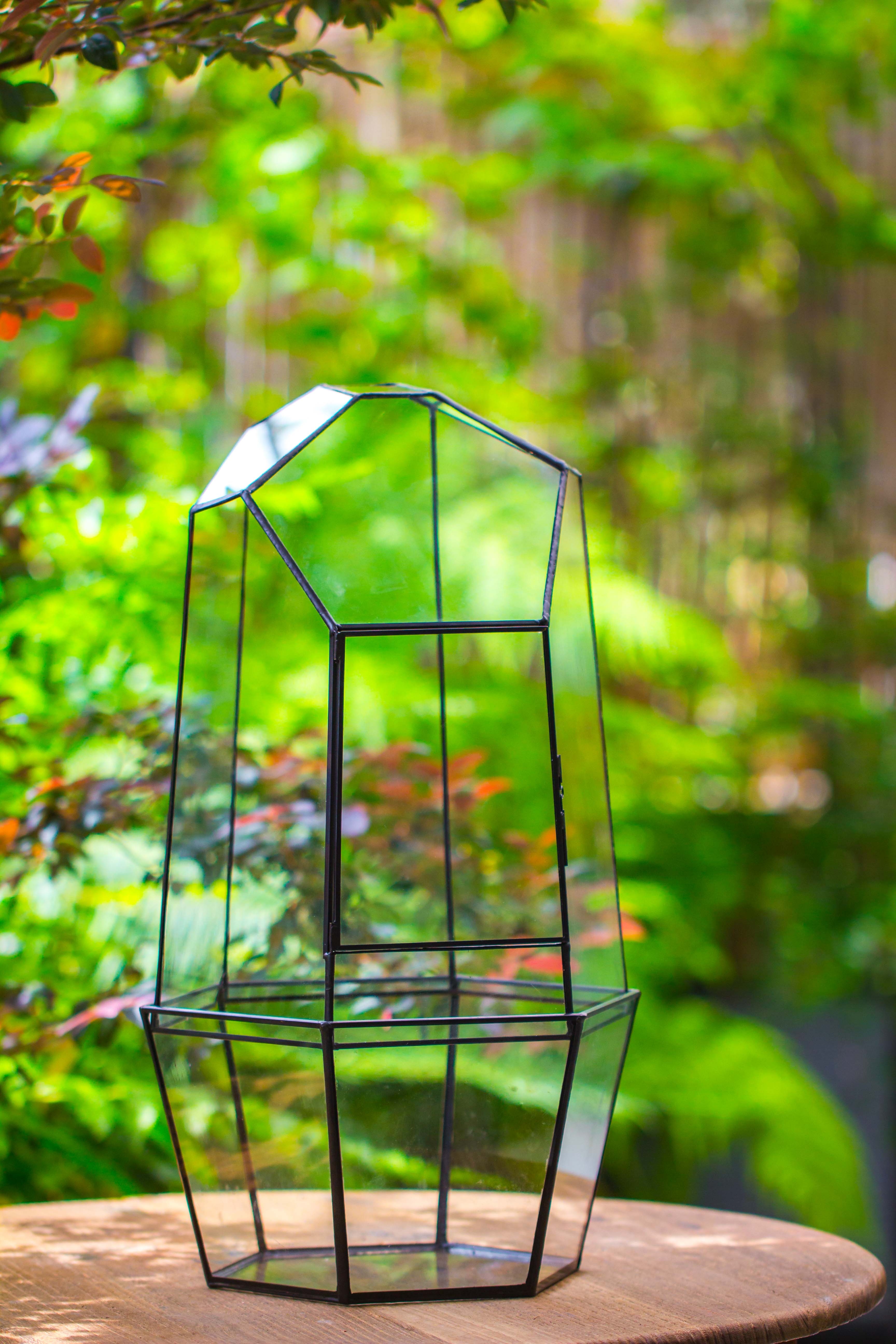 Large 2-Part 18.9" tall Close Glass Terrarium for orchid, fern, moss, Watertight - NCYPgarden