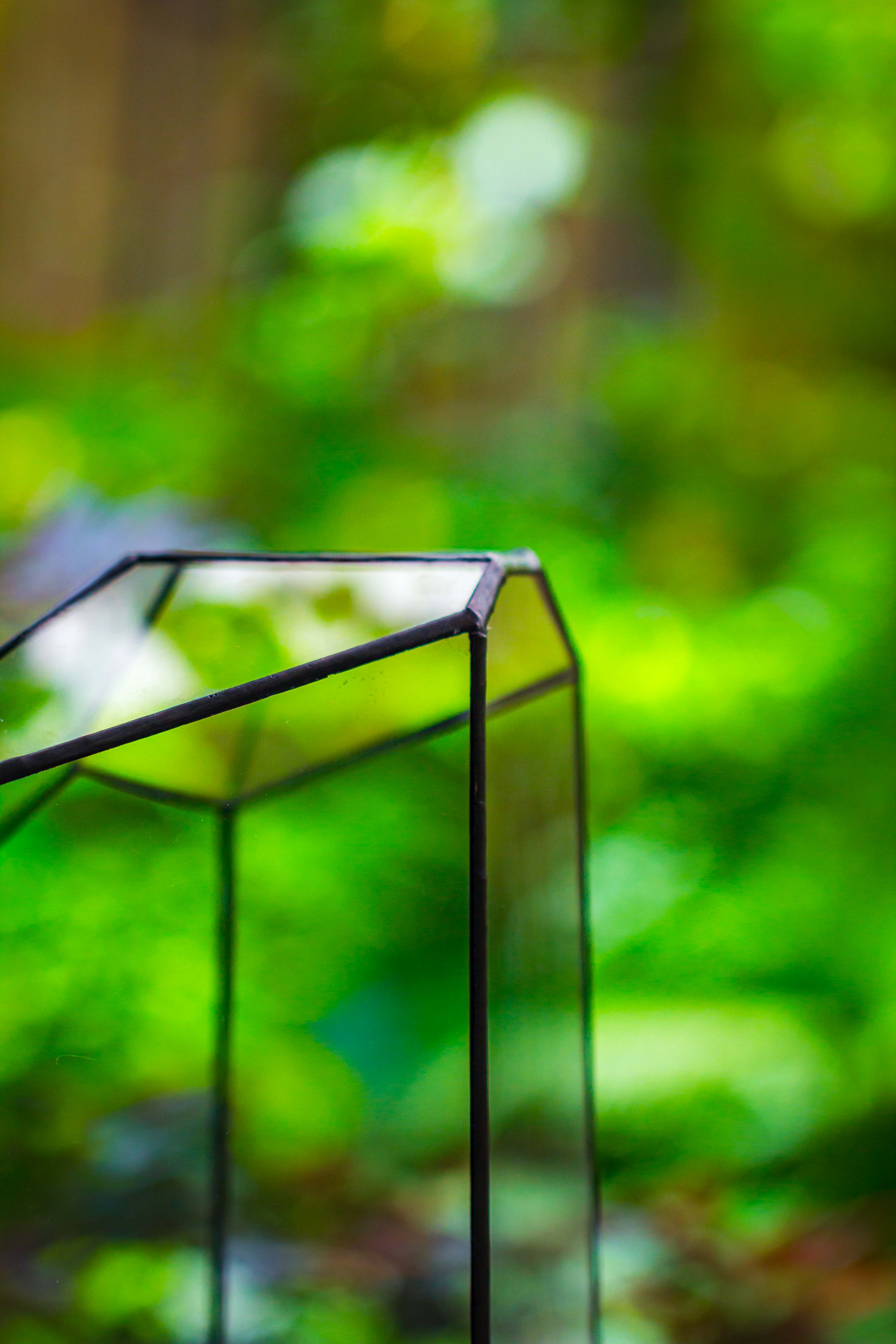 Large 2-Part 18.9" tall Close Glass Terrarium for orchid, fern, moss, Watertight - NCYPgarden