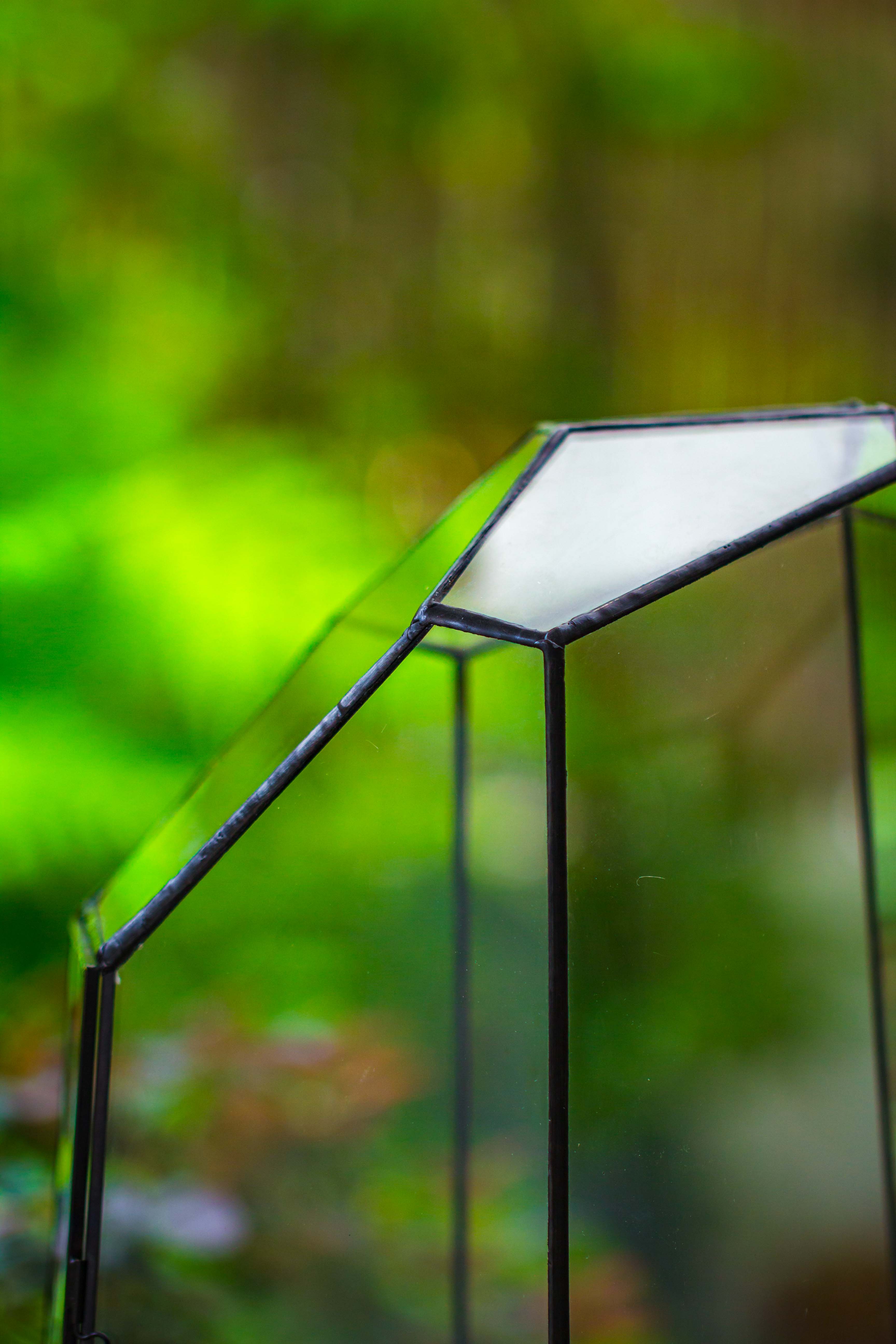 Large 2-Part 18.9" tall Close Glass Terrarium for orchid, fern, moss, Watertight - NCYPgarden