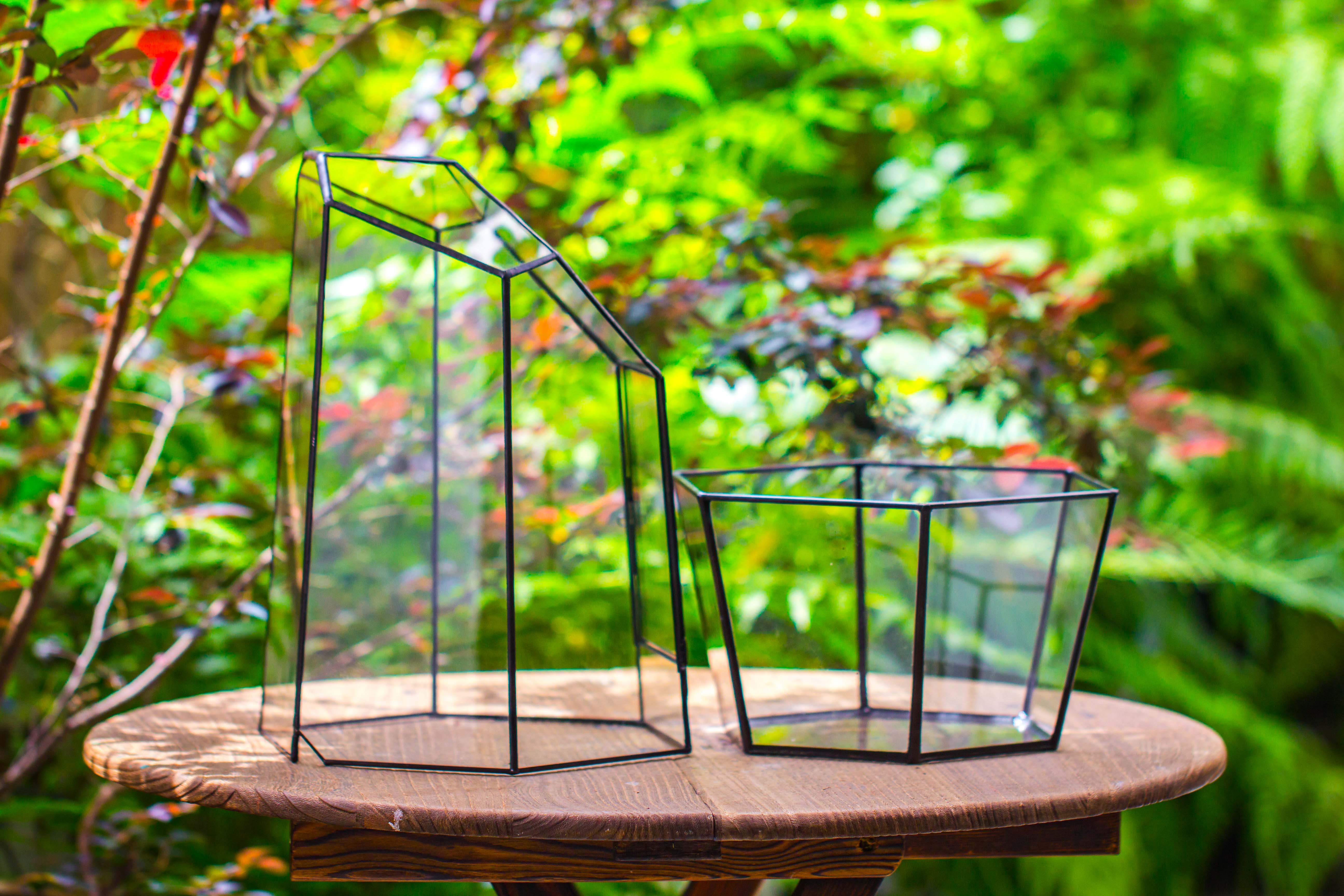 Large 2-Part 18.9" tall Close Glass Terrarium for orchid, fern, moss, Watertight - NCYPgarden