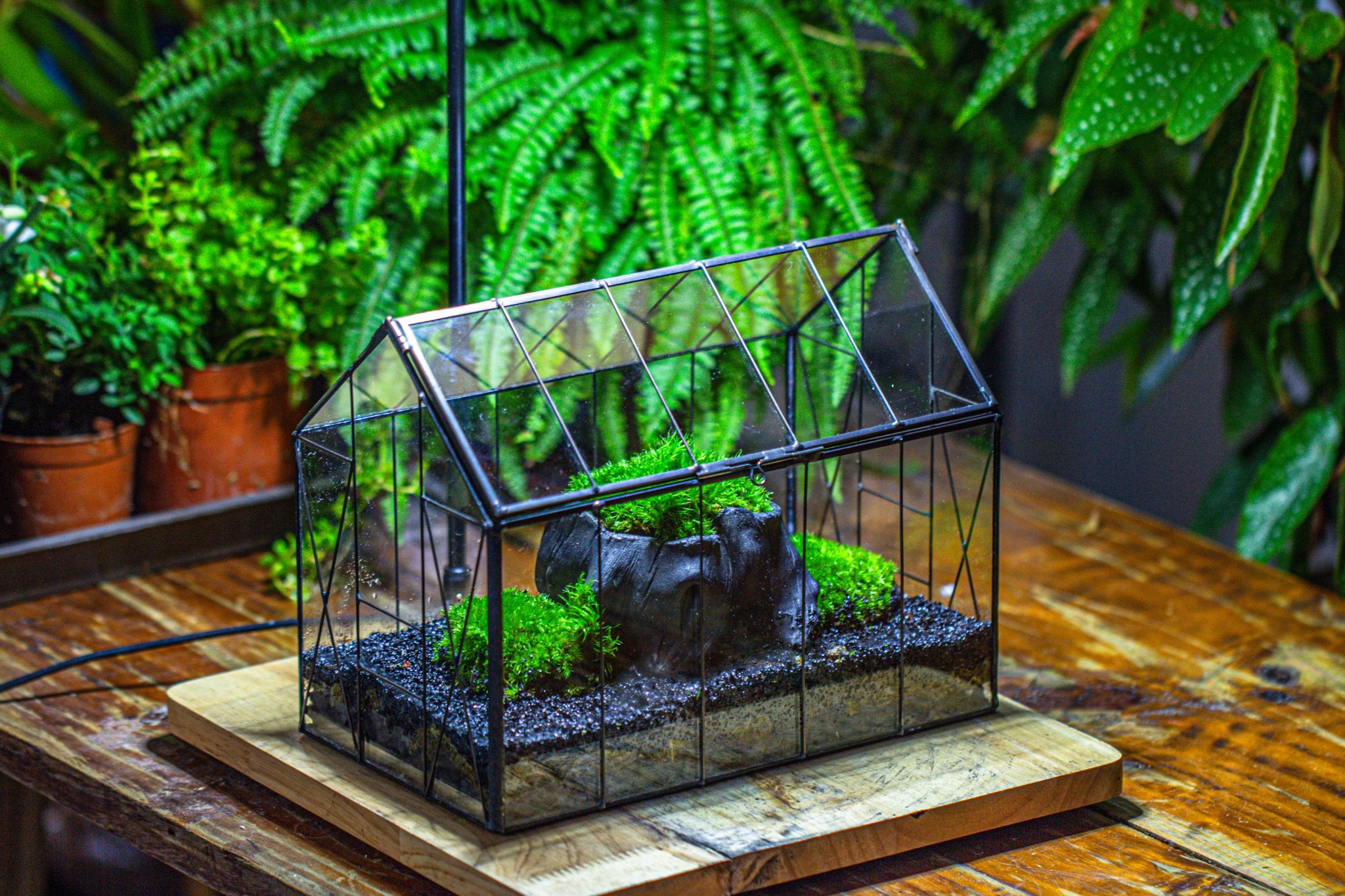 glass house plant terrarium Handmade Vintage Greenhouse Inspired Tin Terrarium with LED Grow Light Set