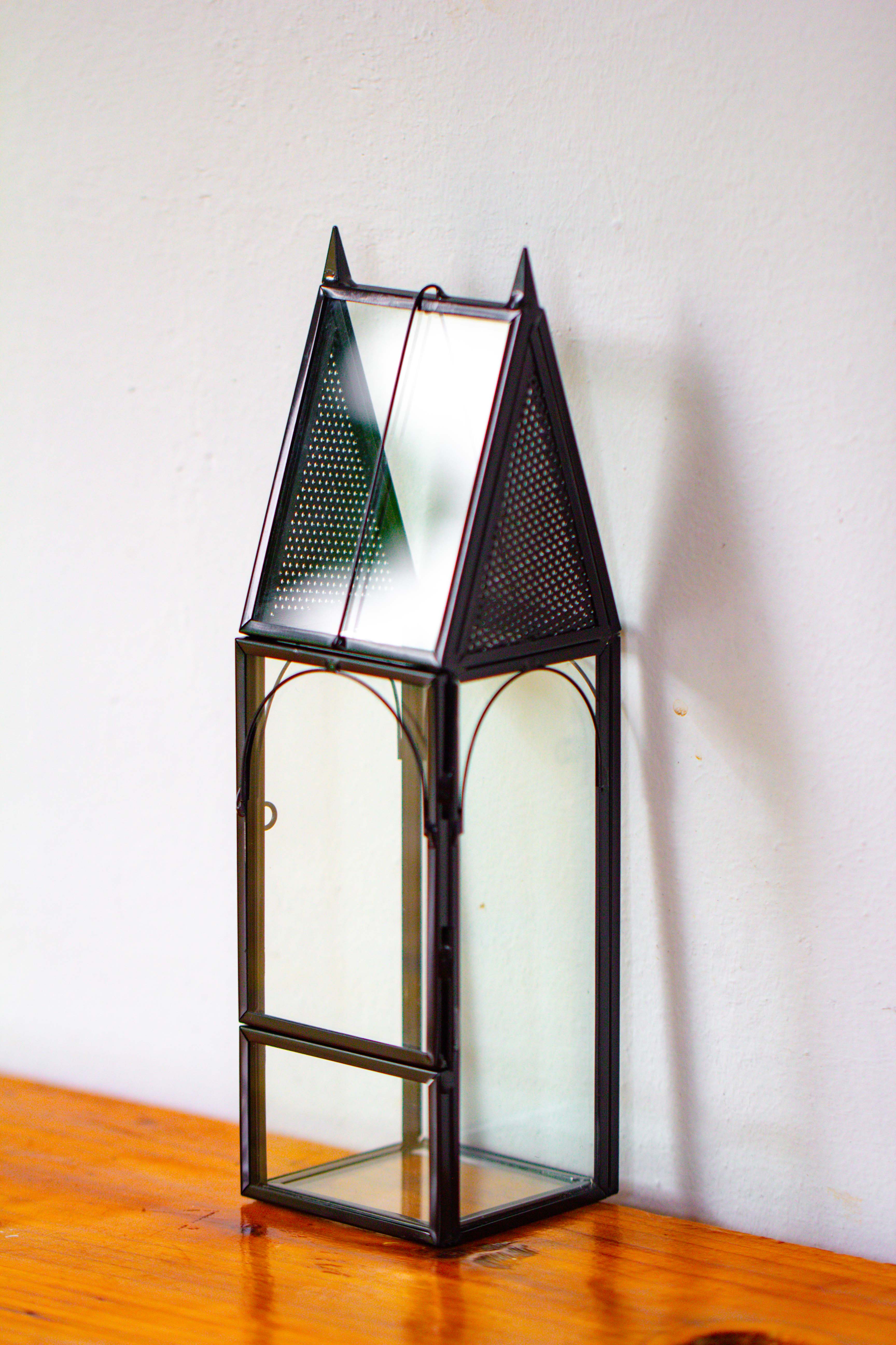 Mini tall house shape jumping spider terrarium - NCYPgarden