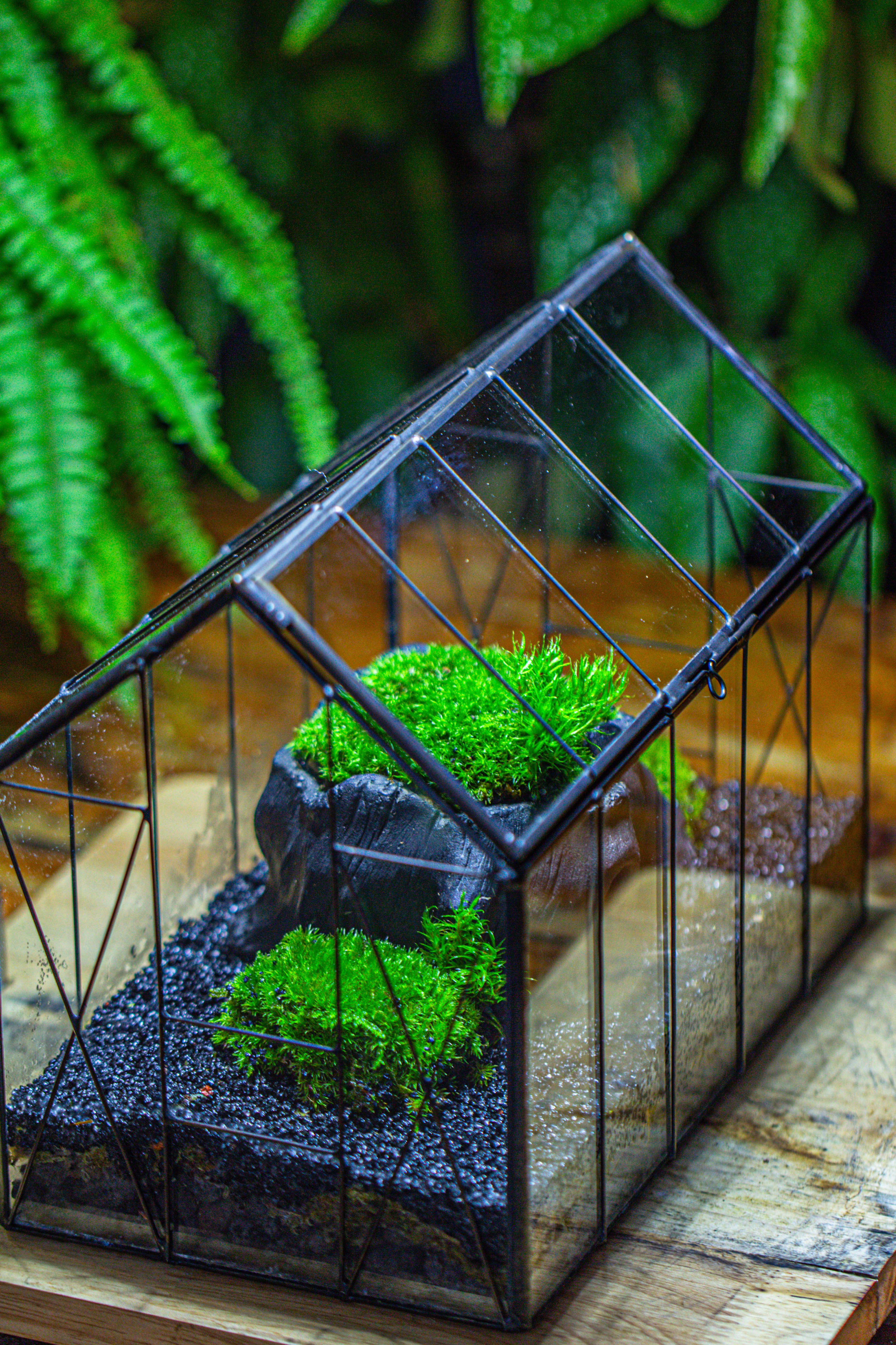 房子上开门 谷仓 黑树桩 - NCYPgarden