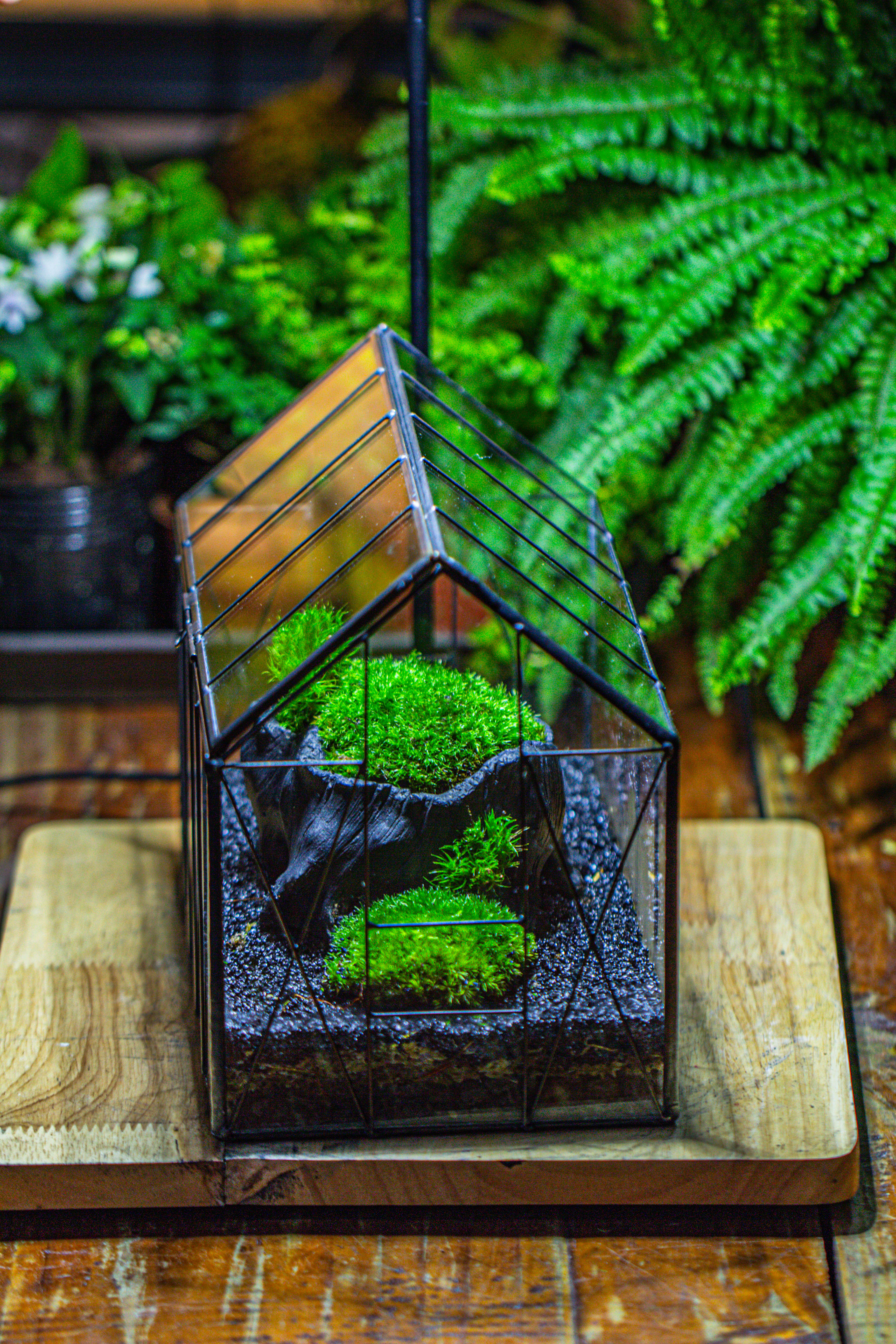 房子上开门 谷仓 黑树桩 - NCYPgarden