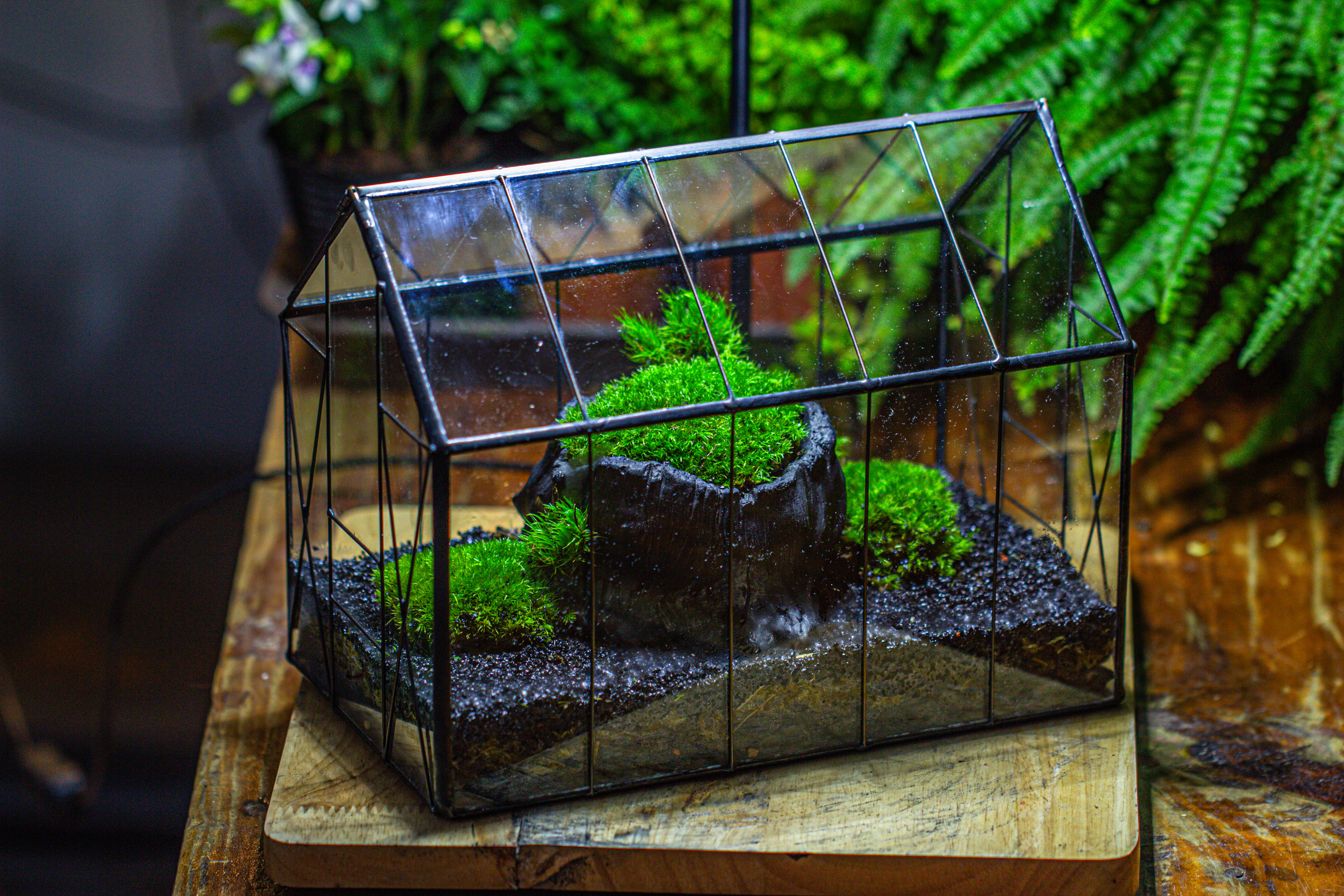 房子上开门 谷仓 黑树桩 - NCYPgarden