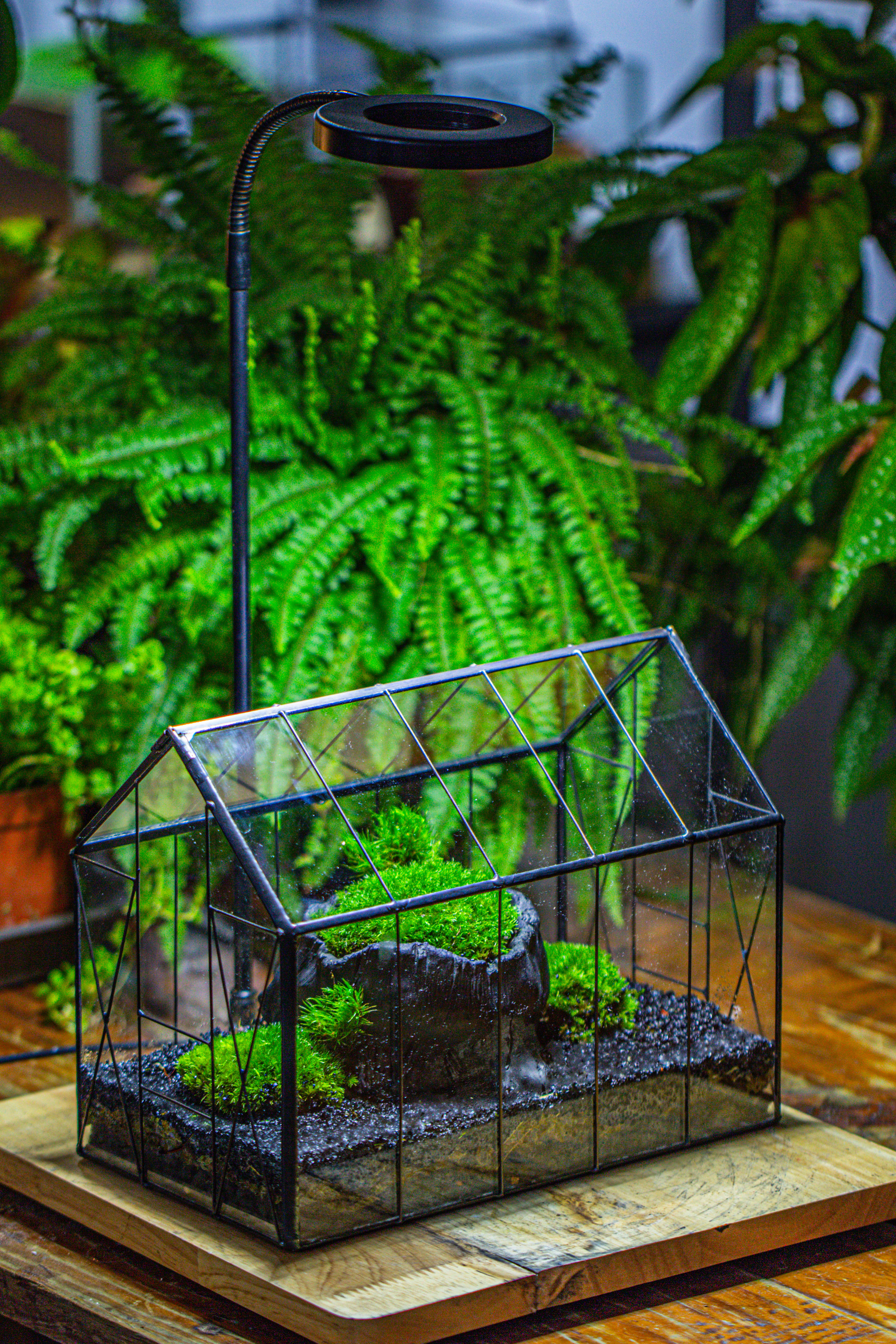 房子上开门 谷仓 黑树桩 - NCYPgarden