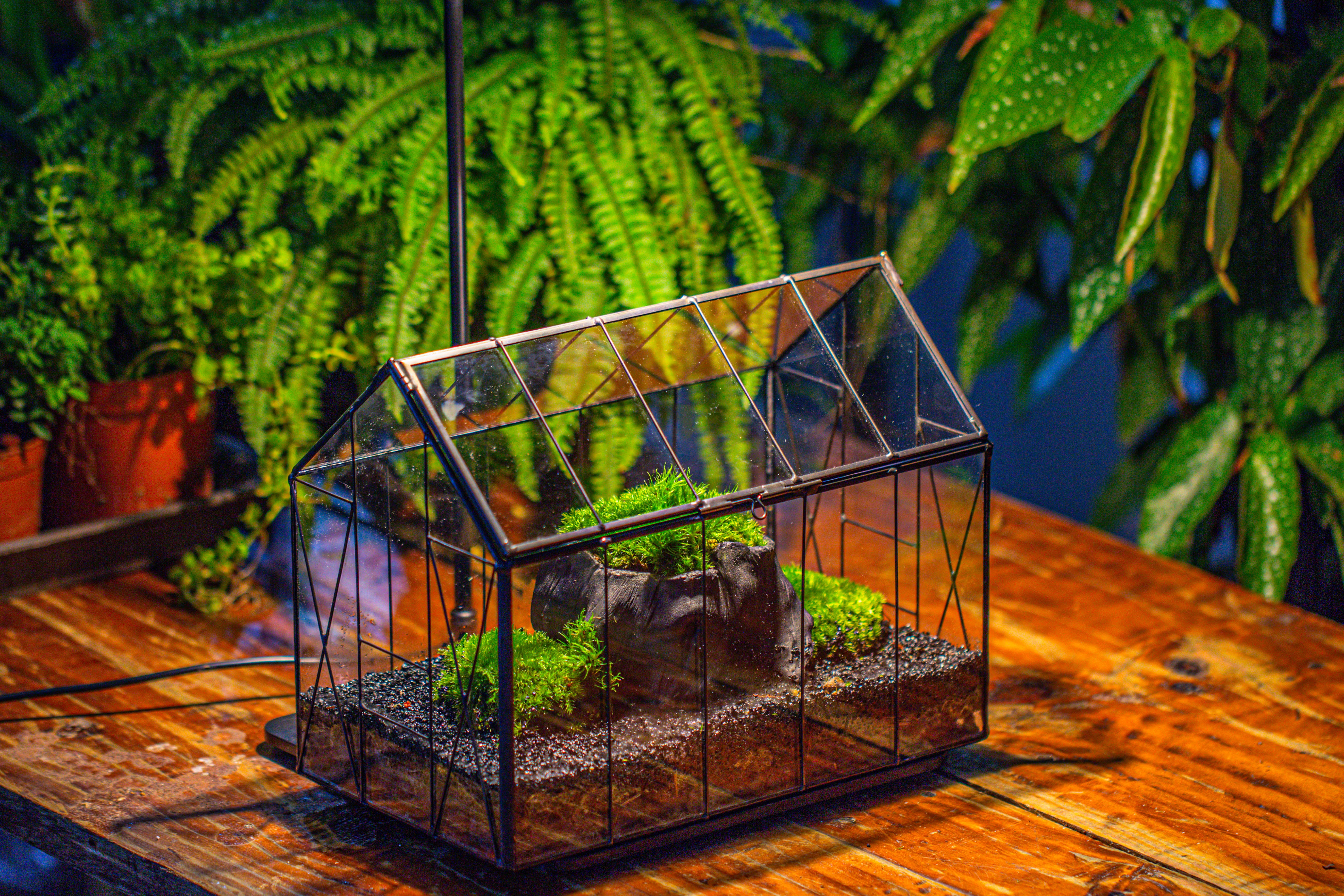 Handmade Vintage Greenhouse Inspired Tin Terrarium with LED Grow Light Set, Closed Glass Planter Set - NCYPgarden