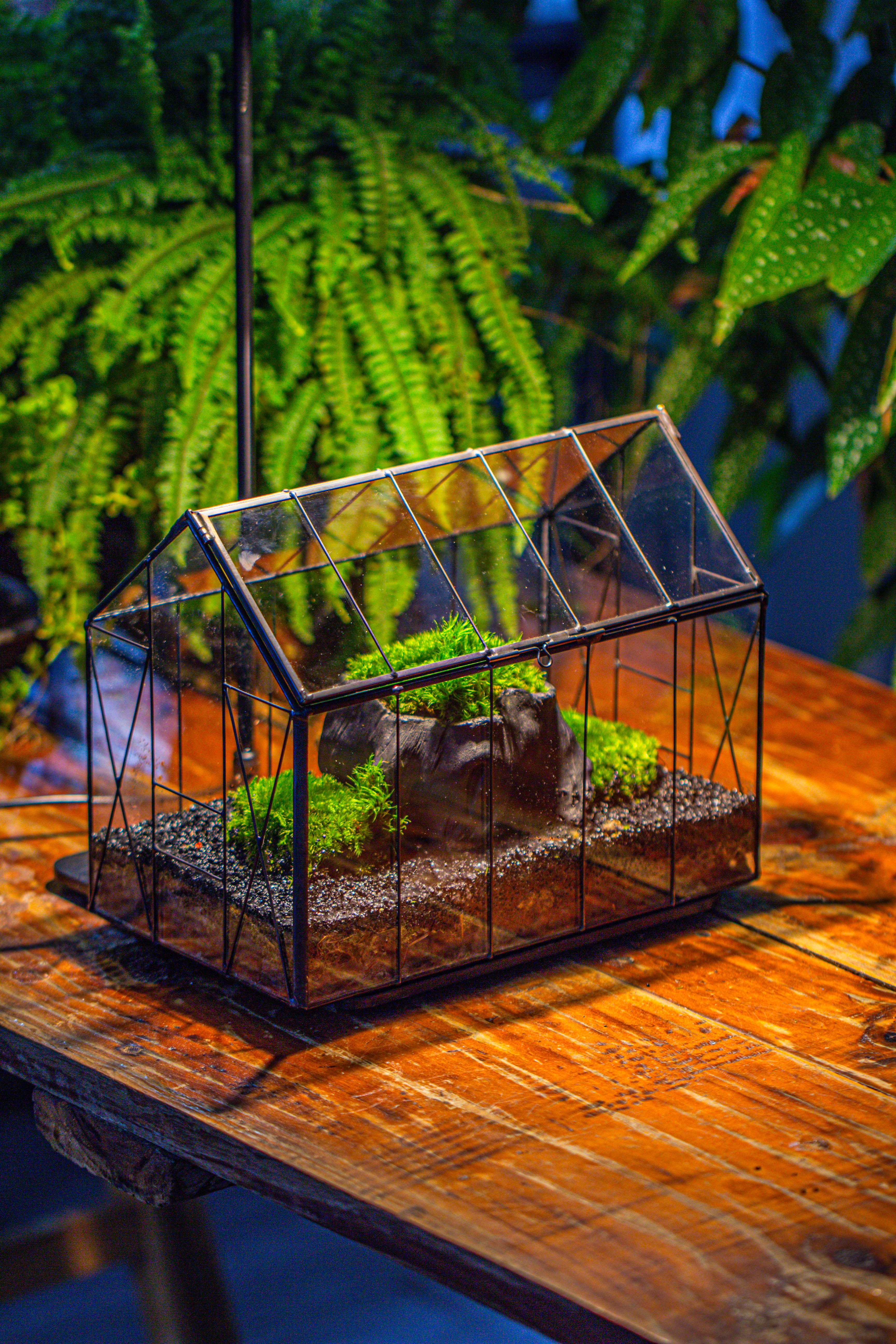 Handmade Vintage Greenhouse Inspired Tin Terrarium with LED Grow Light Set, Closed Glass Planter Set - NCYPgarden