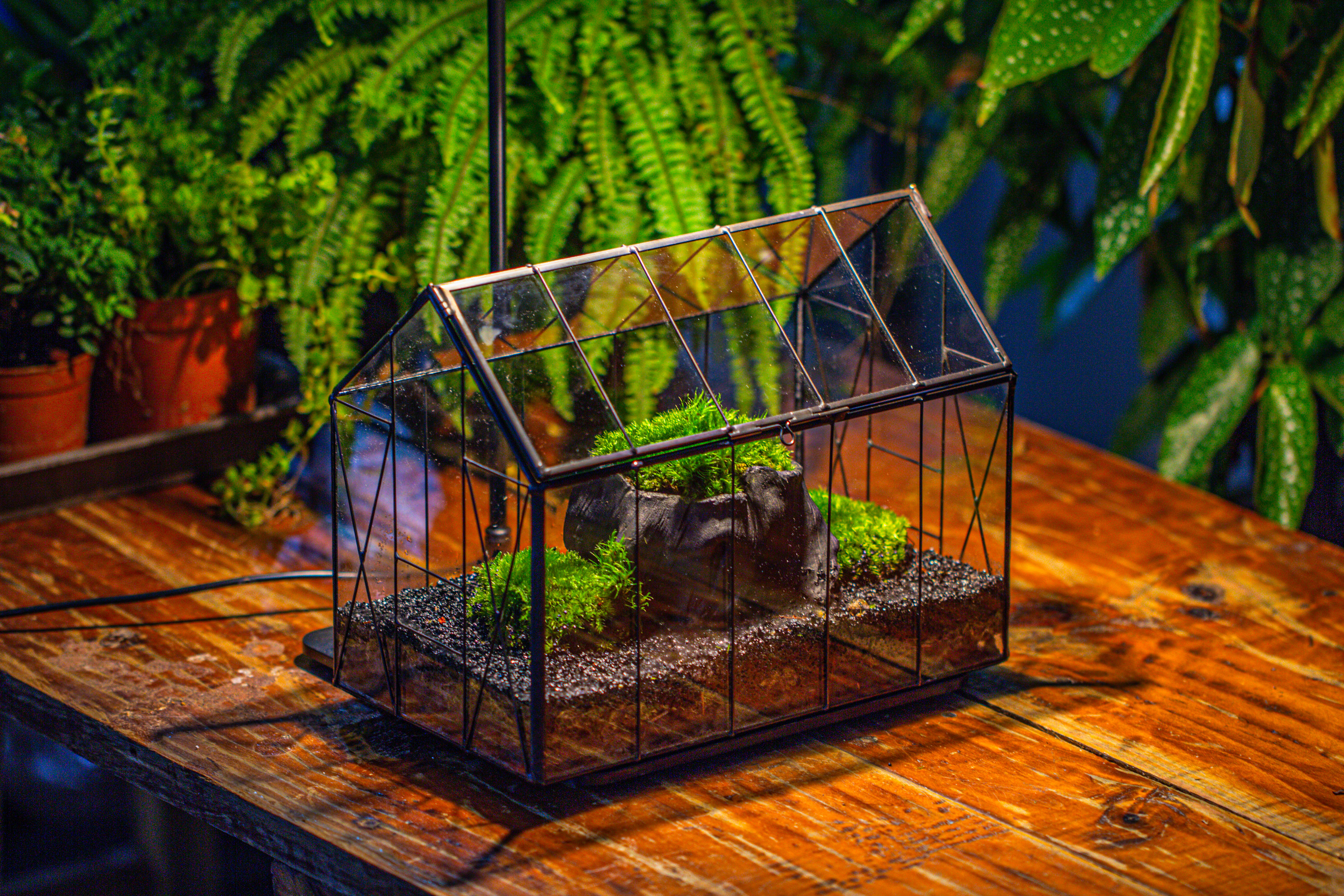 Handmade Vintage Greenhouse Inspired Tin Terrarium with LED Grow Light Set, Closed Glass Planter Set - NCYPgarden