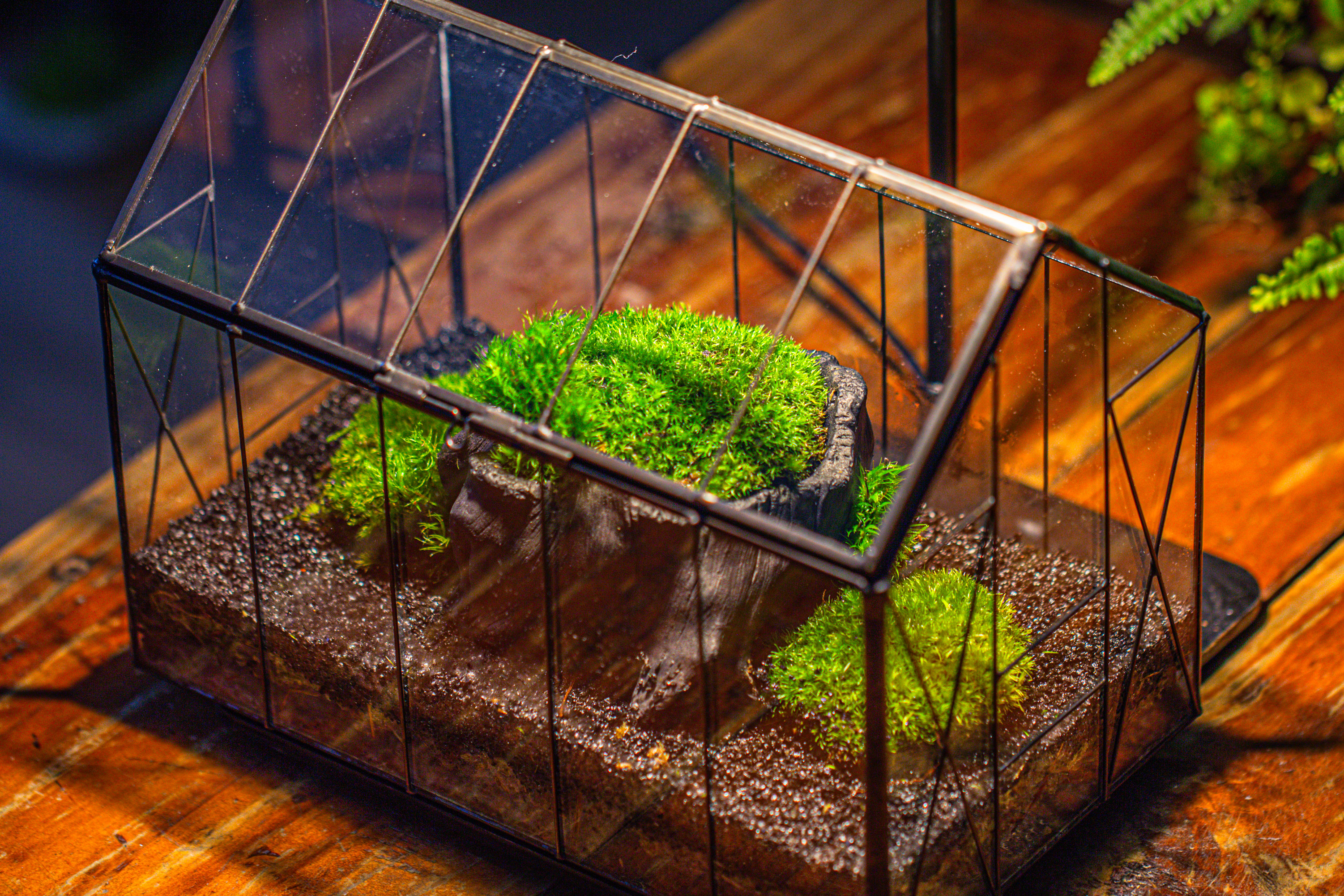 Handmade Vintage Greenhouse Inspired Tin Terrarium with LED Grow Light Set, Closed Glass Planter Set - NCYPgarden