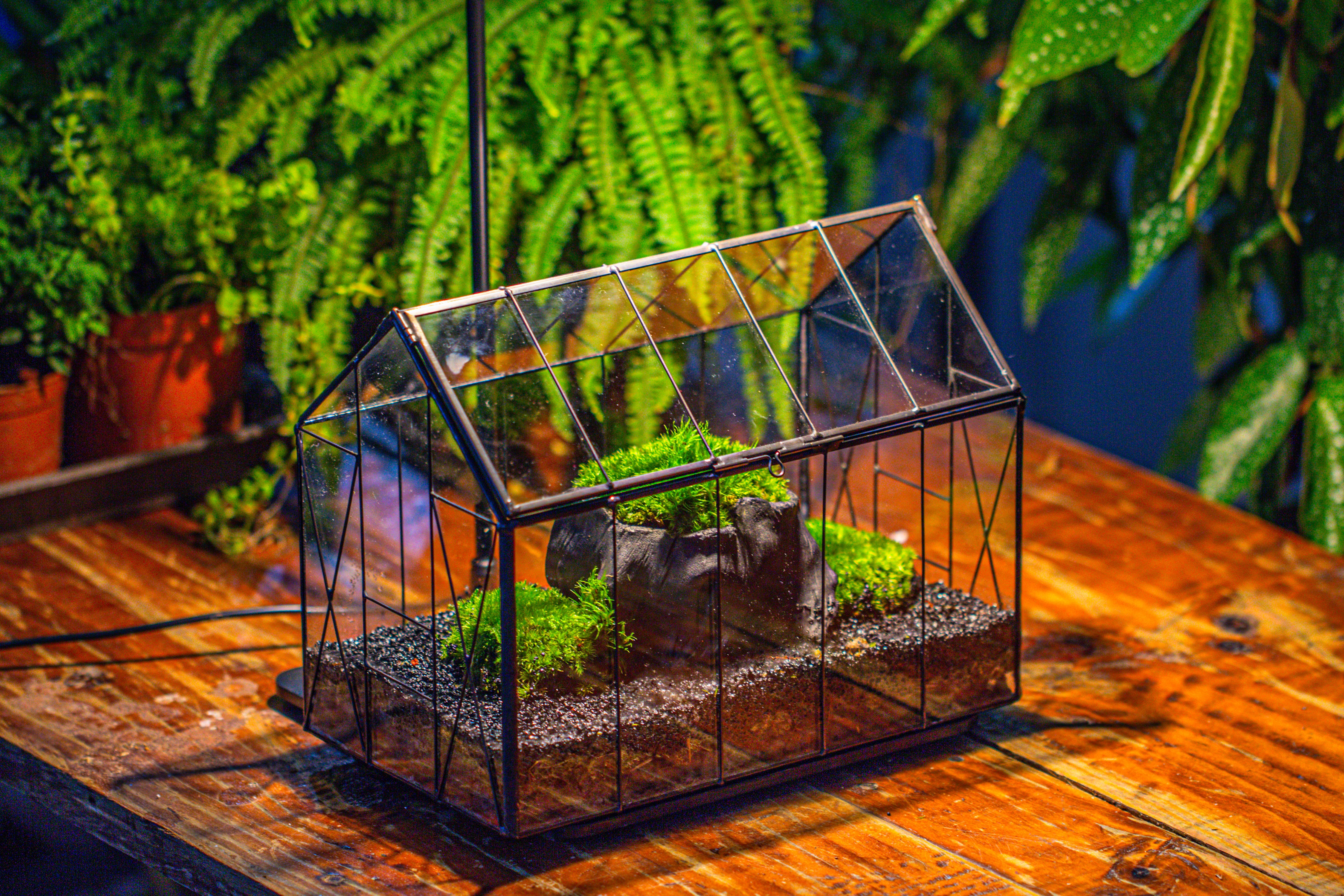 房子上开门 谷仓 黑树桩 - NCYPgarden