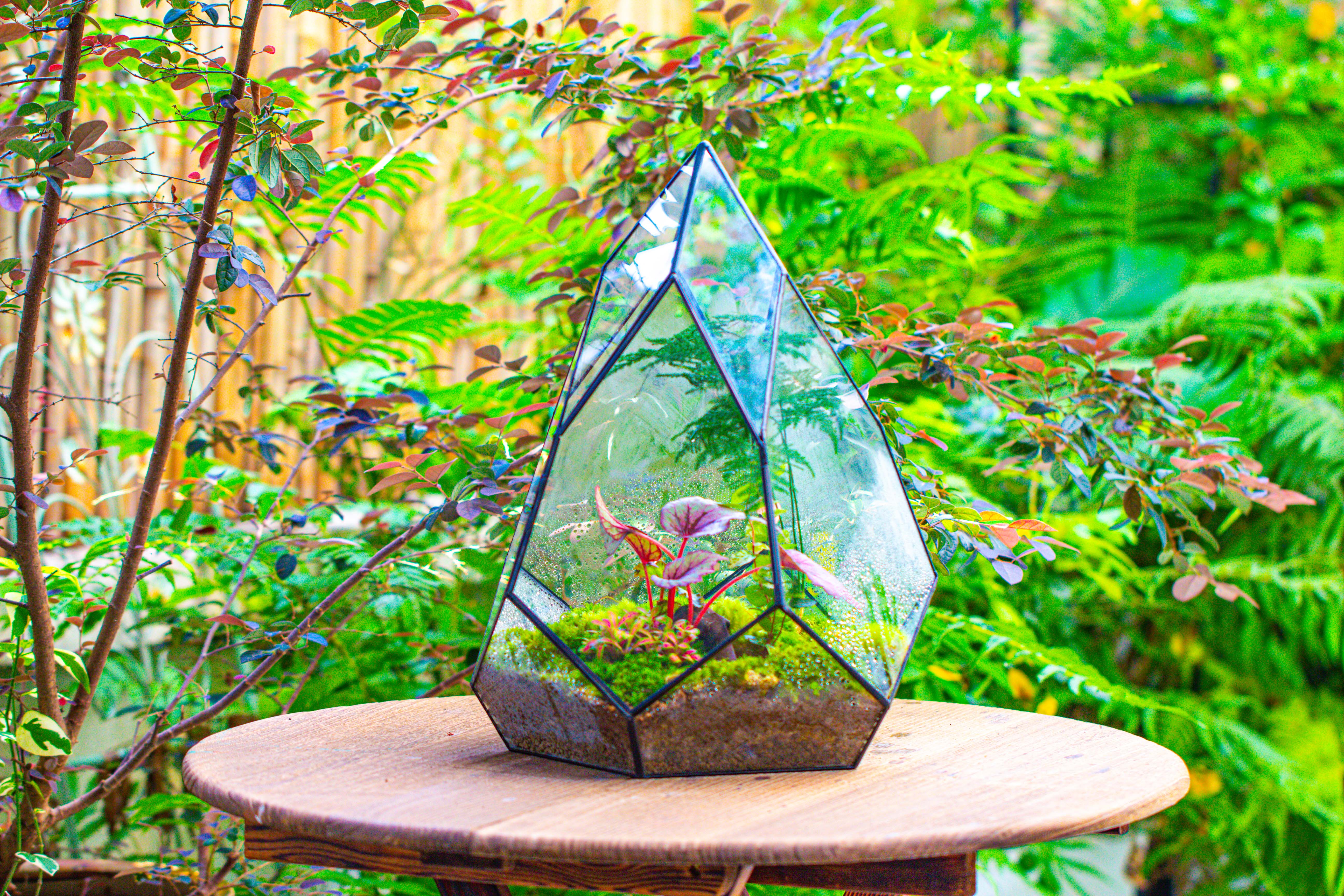 Large 16" tall and wide teardrop tin and glass terrarium, close, with door - NCYPgarden