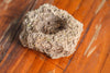 Natural Limestone Rock for moss, bonsai, hydroponic planting, 500-700G - NCYPgarden