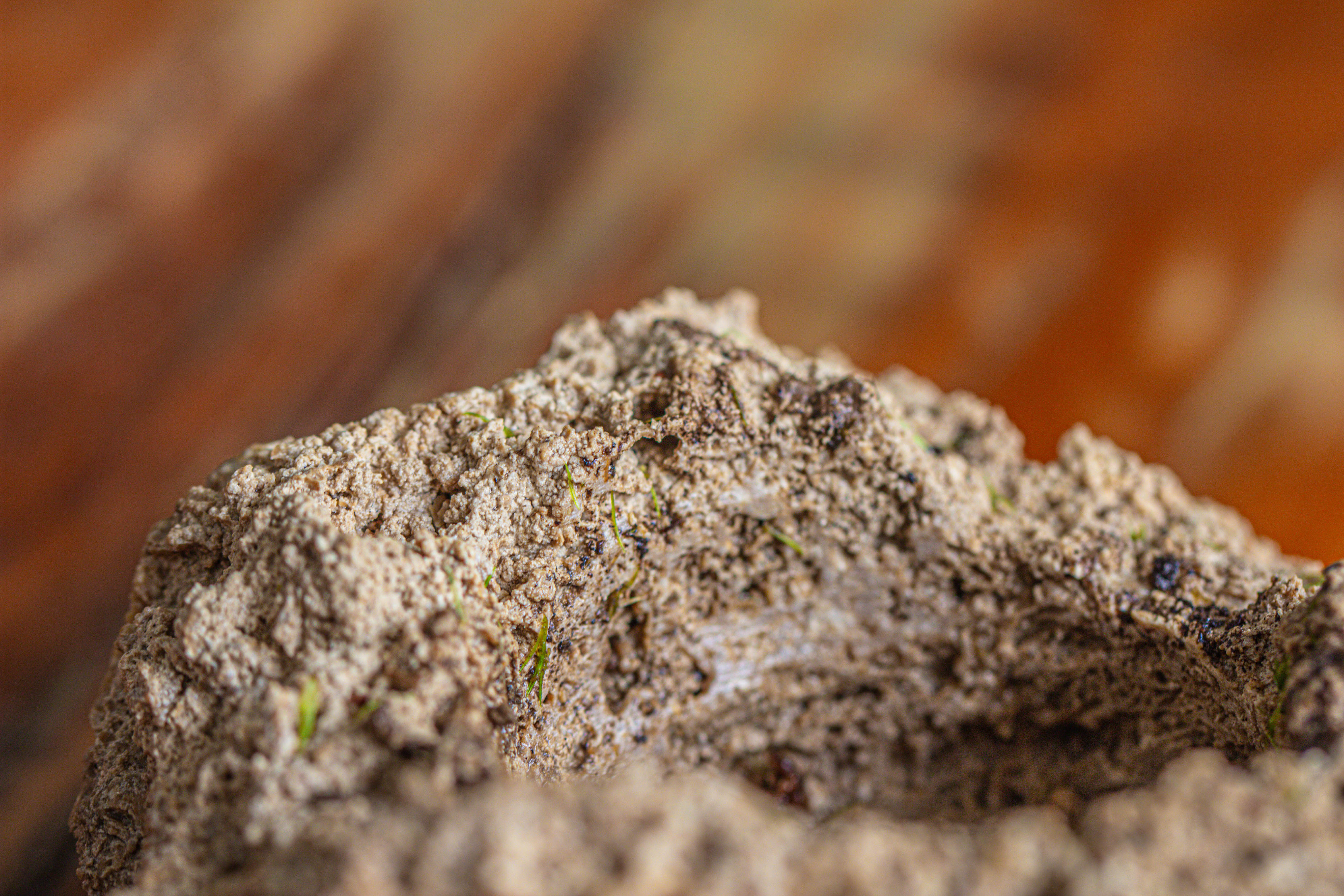 Natural Limestone Rock for moss, bonsai, hydroponic planting, 500-700G - NCYPgarden