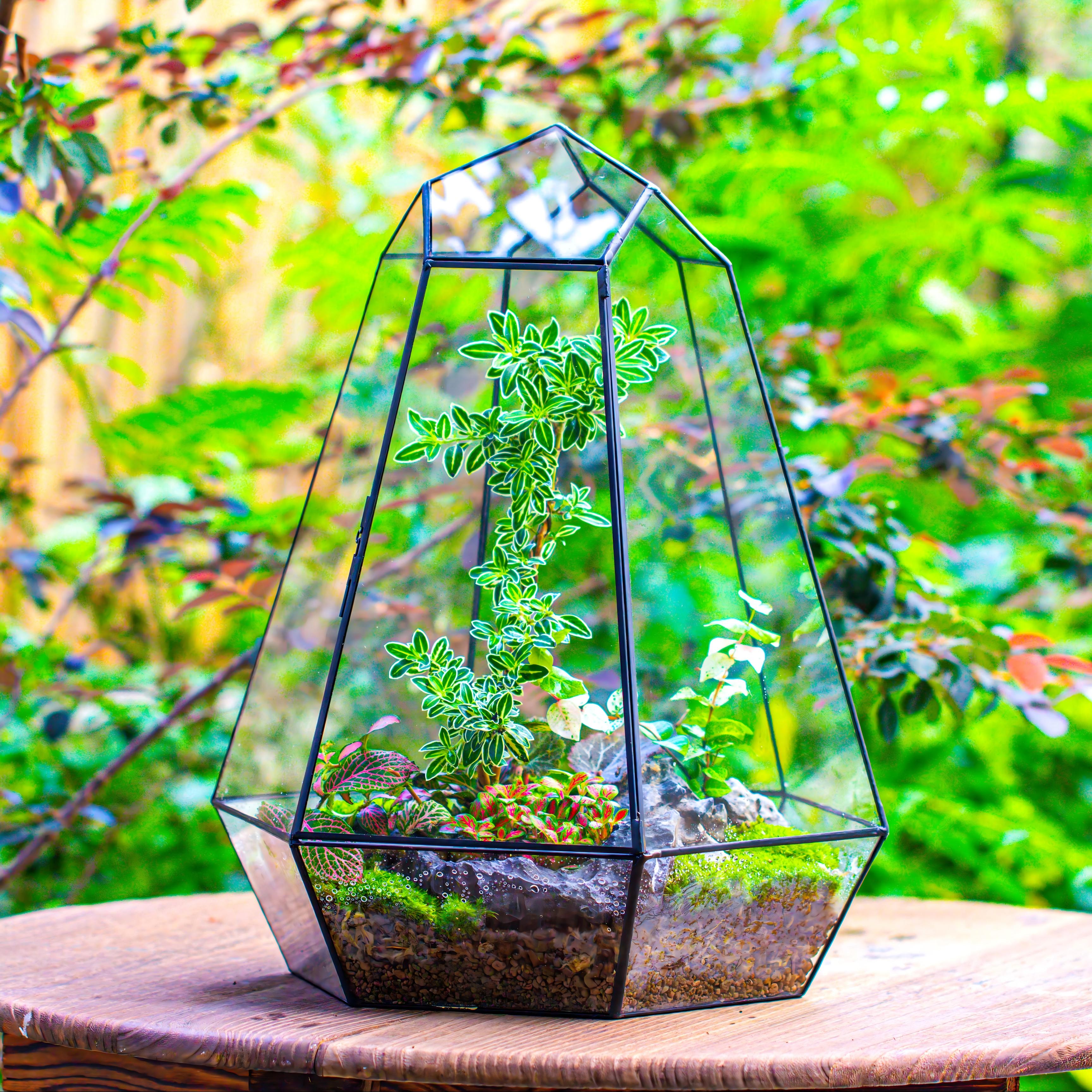 Large 16" tall and wide 6 sided cone tin and glass terrarium, close, with door - NCYPgarden