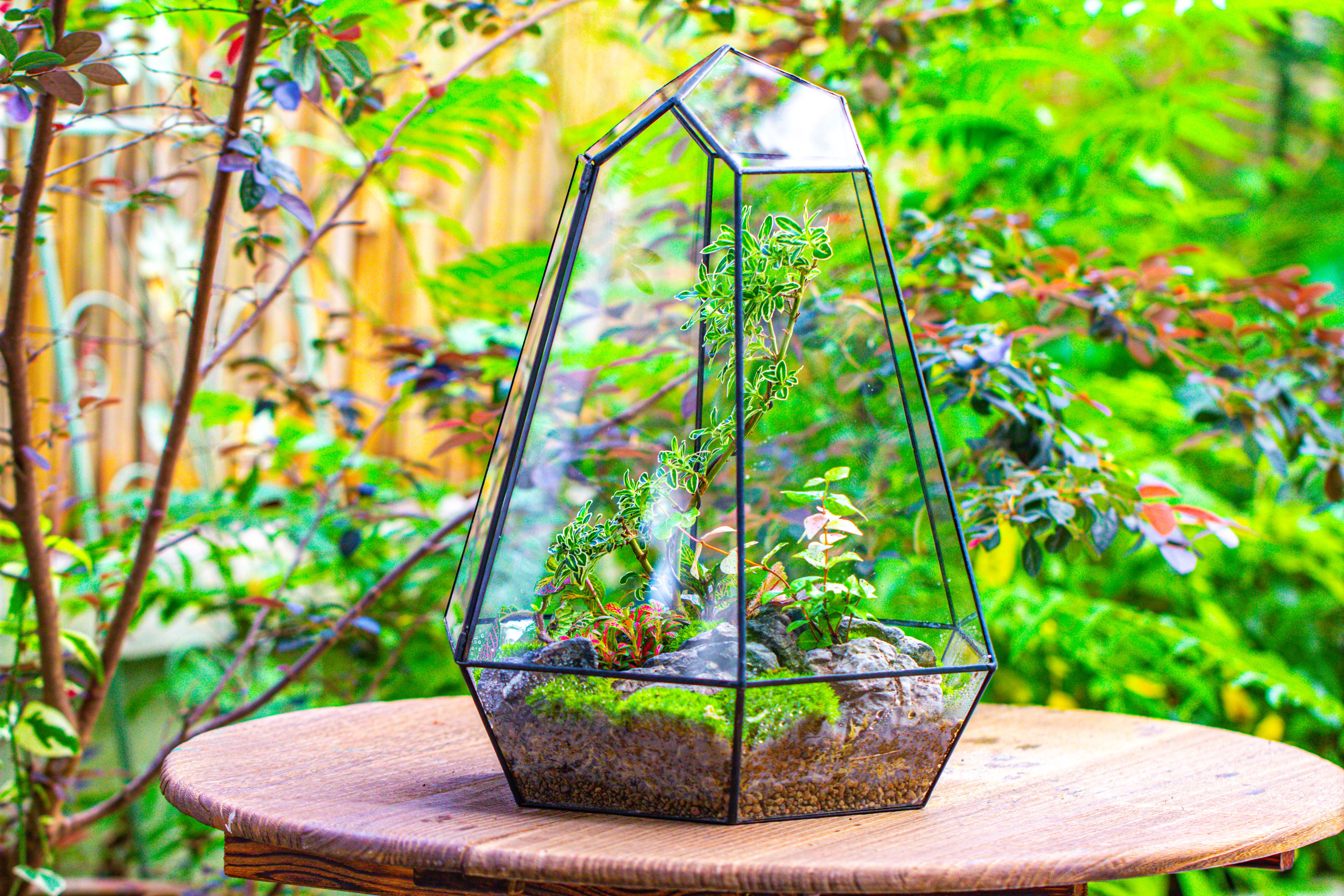 Large 16" tall and wide 6 sided cone tin and glass terrarium, close, with door - NCYPgarden