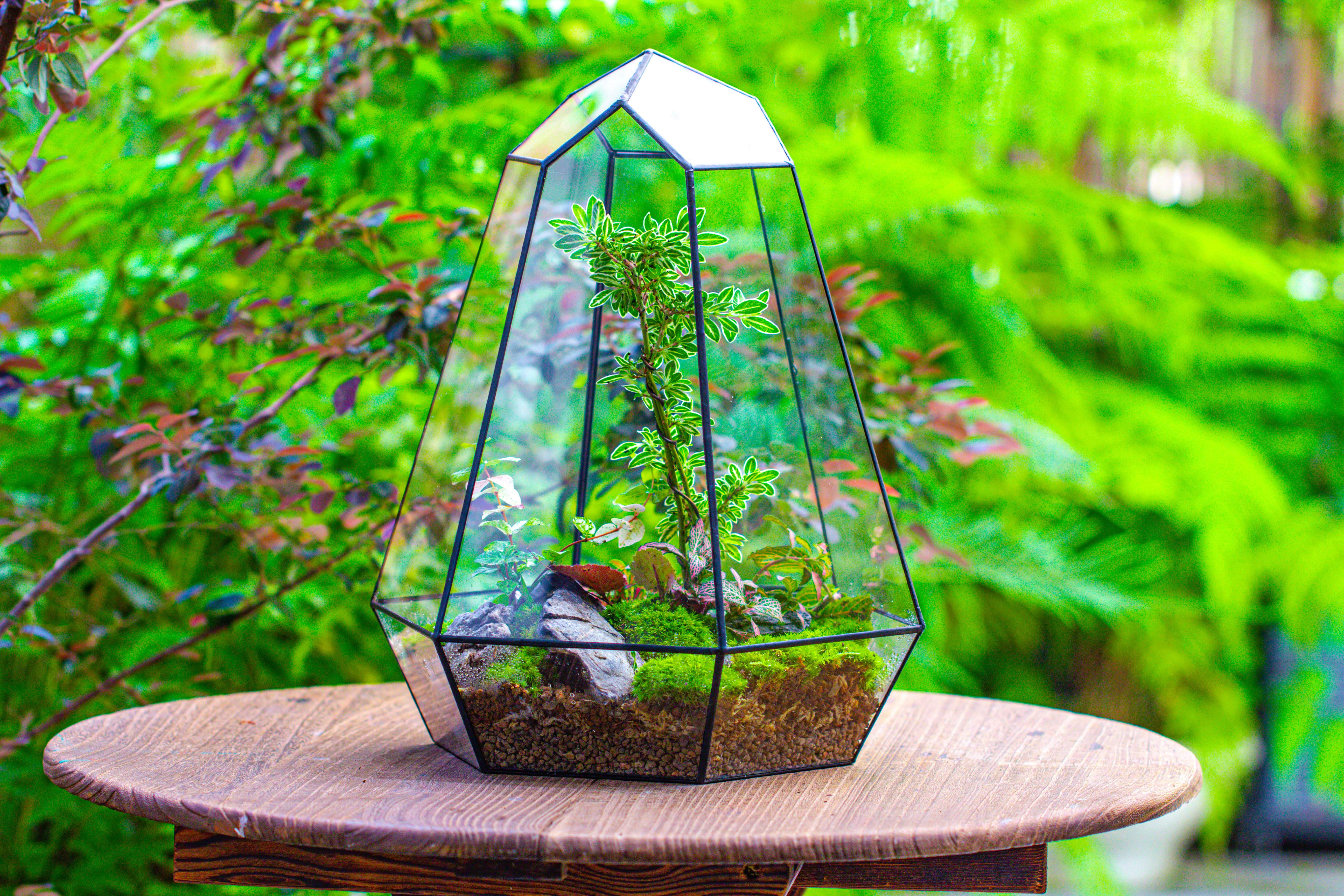 Large 16" tall and wide 6 sided cone tin and glass terrarium, close, with door - NCYPgarden