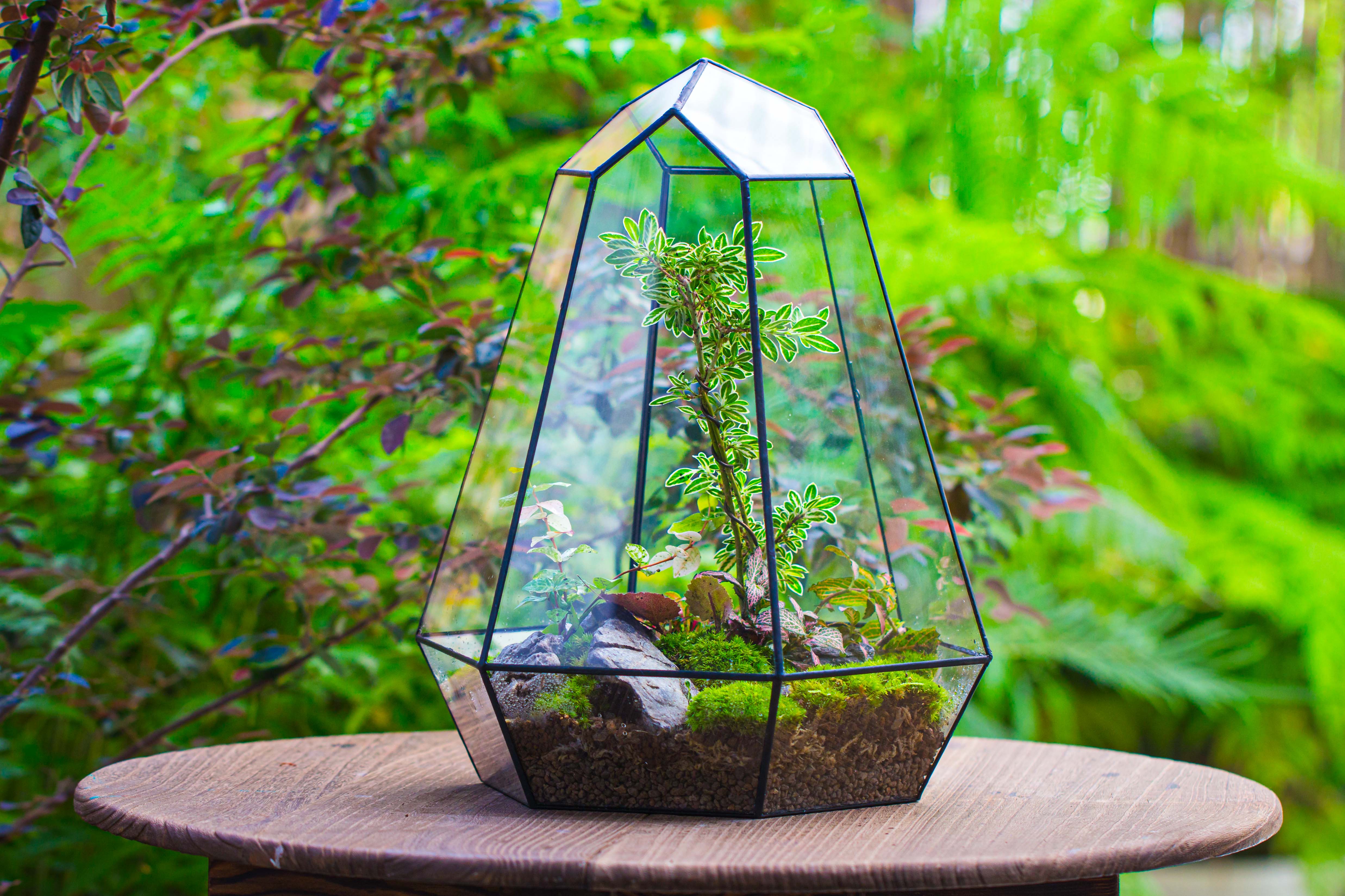 Large 16" tall and wide 6 sided cone tin and glass terrarium, close, with door - NCYPgarden