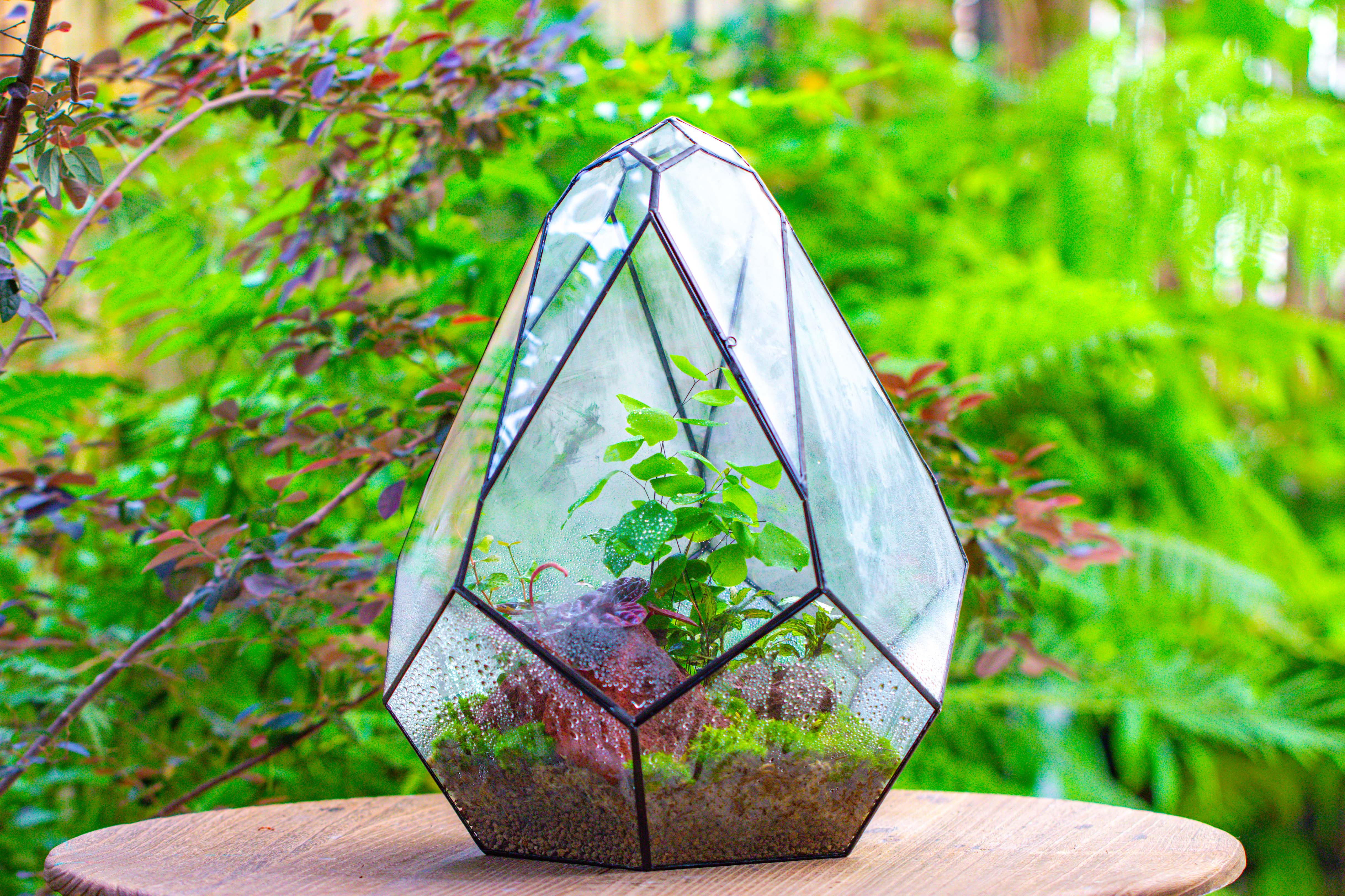 16" Large Teardrop Geometric Terrarium, close - NCYPgarden